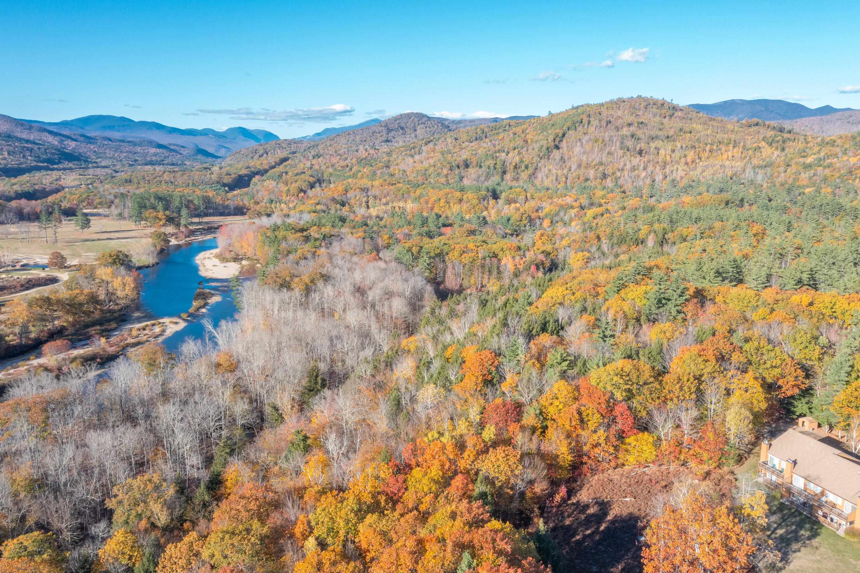 MLS #5066839 image #49