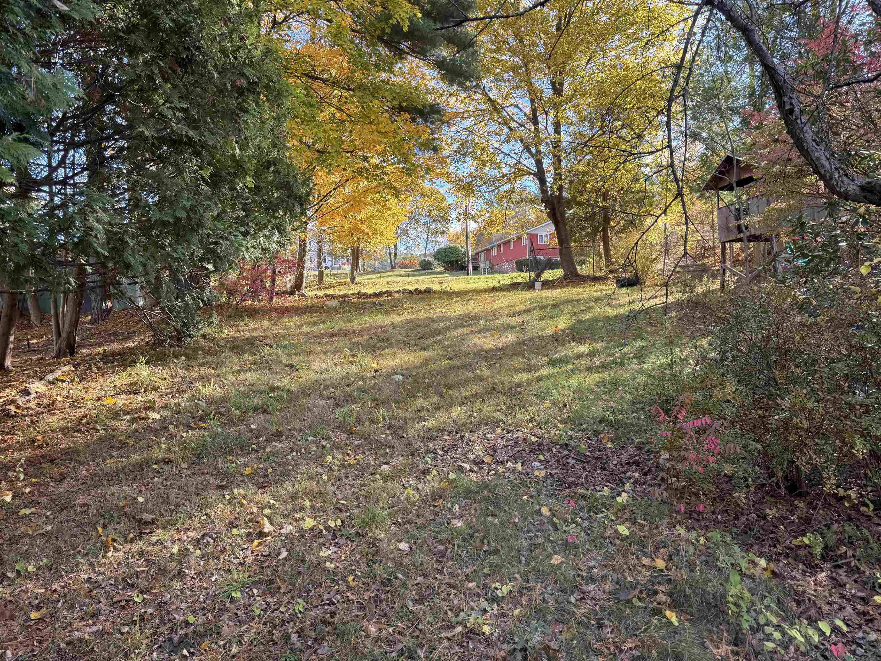 Nice Yard