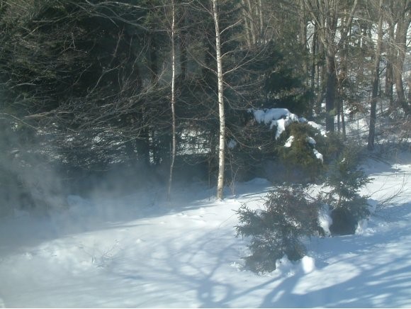 Homes for sale in Derry, NH | 242 Rockingham Rd, Derry, NH 03038 | MLS# 2756127