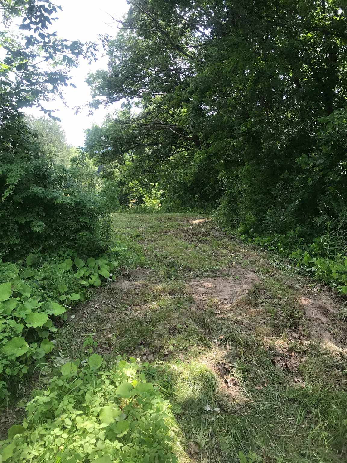 Homes for sale in Mount Holly, VT | 705 Hedgehog Hill Rd, Mount Holly, VT 05758 | MLS# 4815307