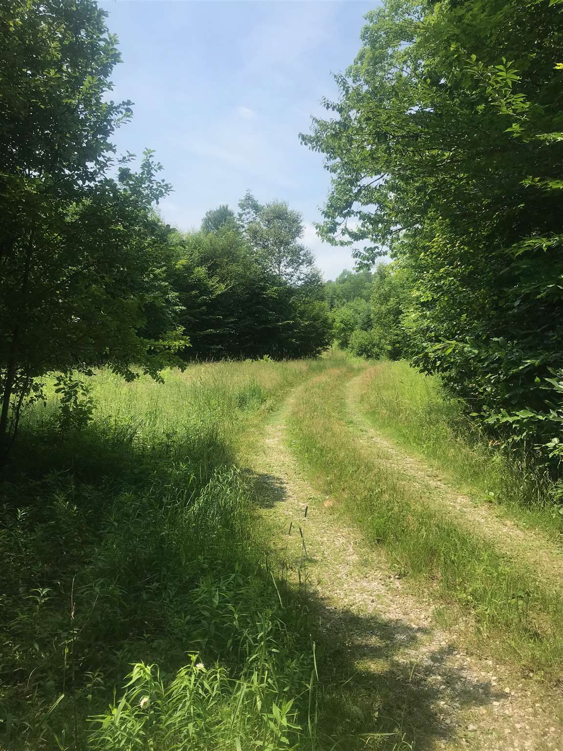 Homes for sale in Mount Holly, VT | 705 Hedgehog Hill Rd, Mount Holly, VT 05758 | MLS# 4815307