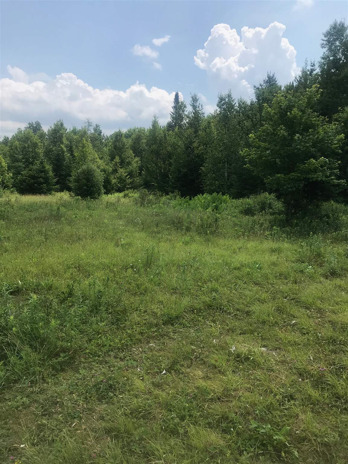 Homes for sale in Mount Holly, VT | 705 Hedgehog Hill Rd, Mount Holly, VT 05758 | MLS# 4815307