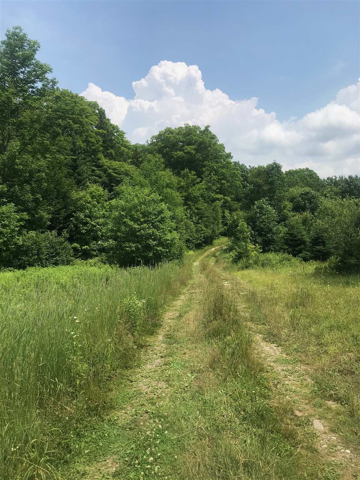 Homes for sale in Mount Holly, VT | 705 Hedgehog Hill Rd, Mount Holly, VT 05758 | MLS# 4815307