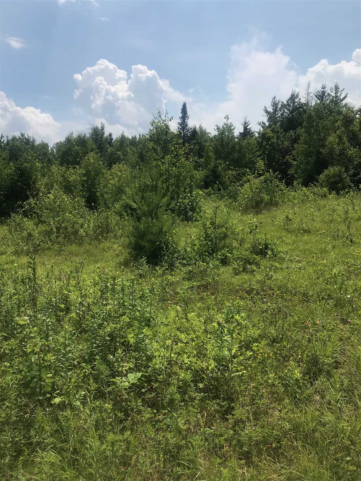 Homes for sale in Mount Holly, VT | 705 Hedgehog Hill Rd, Mount Holly, VT 05758 | MLS# 4815307