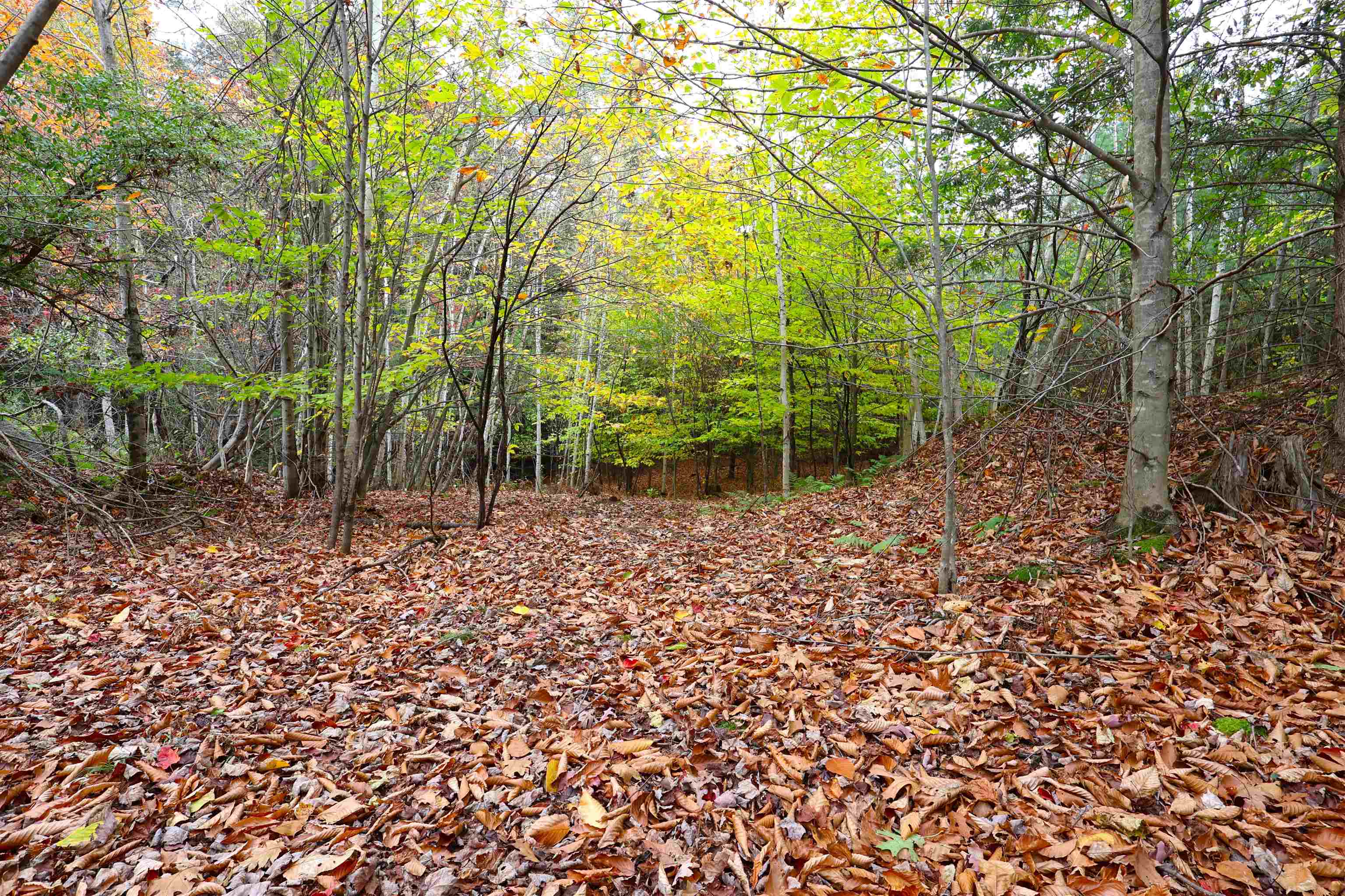 Hartford VT Land for sale $248,000 | 57.8 Acres  | Price Per Acre $0 