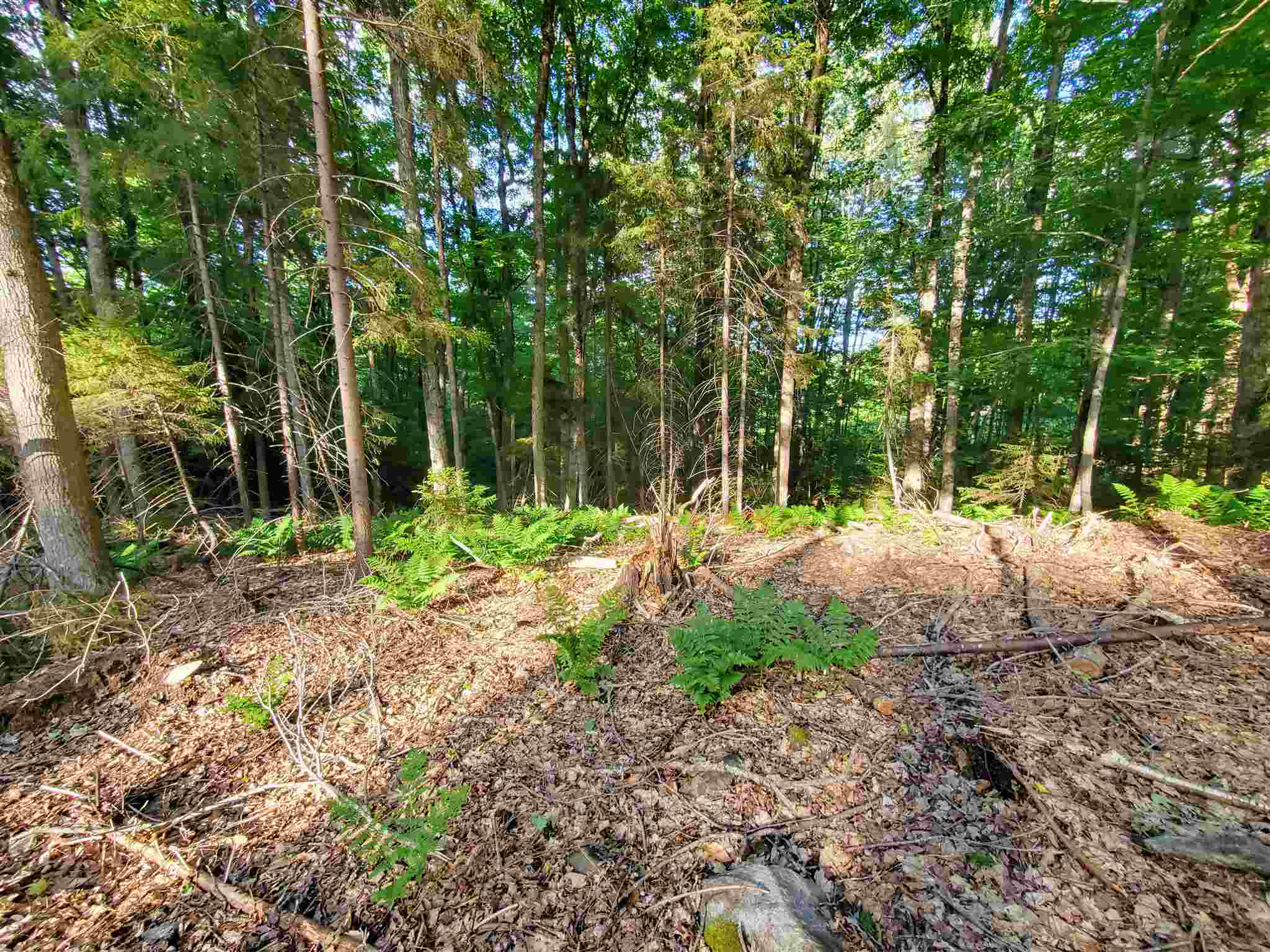 Homes for sale in Whitingham, VT | 4 Murdock Ln, Whitingham, VT 05361 | MLS# 4867161