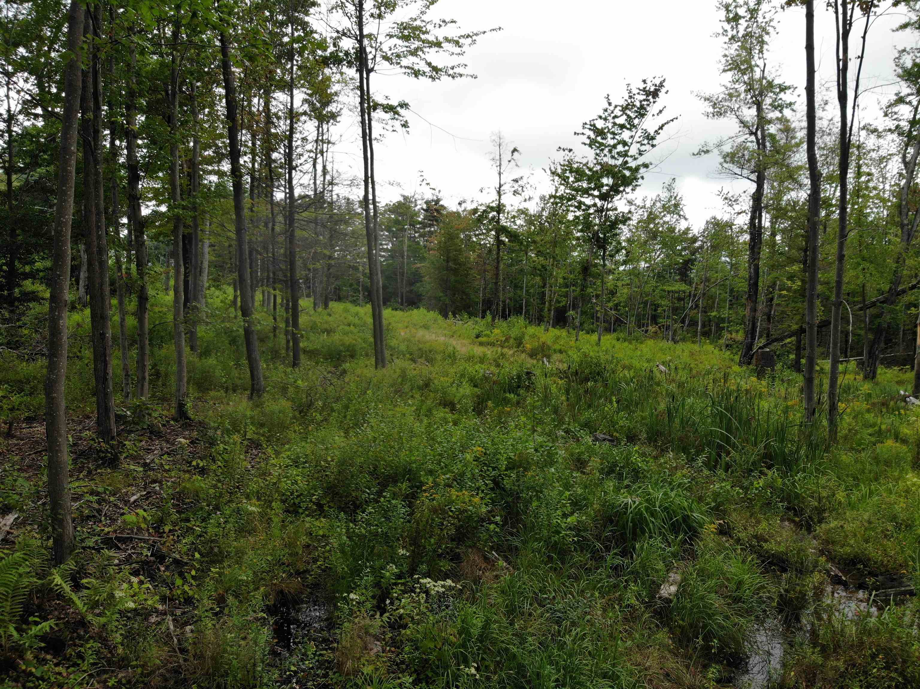 Homes for sale in New Ipswich, NH | 00 Turnpike Rd, New Ipswich, NH 03071 | MLS# 4879390