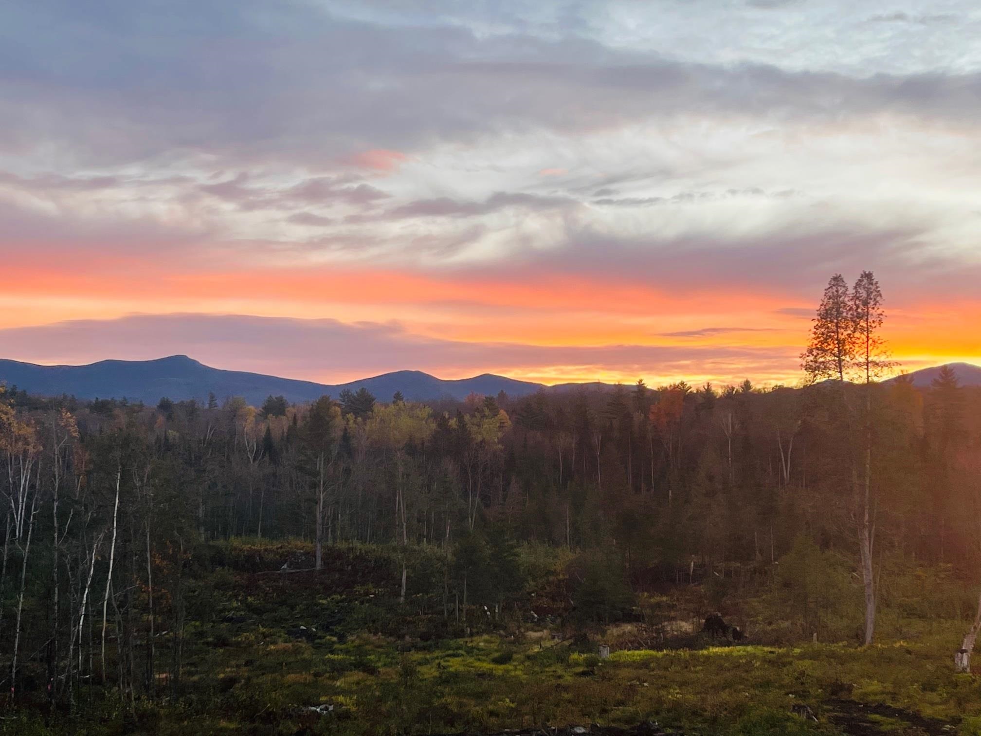 Homes for sale in Lancaster, NH | Lot 5 Kelsea Ave, Lancaster, NH 03584 | MLS# 4879753