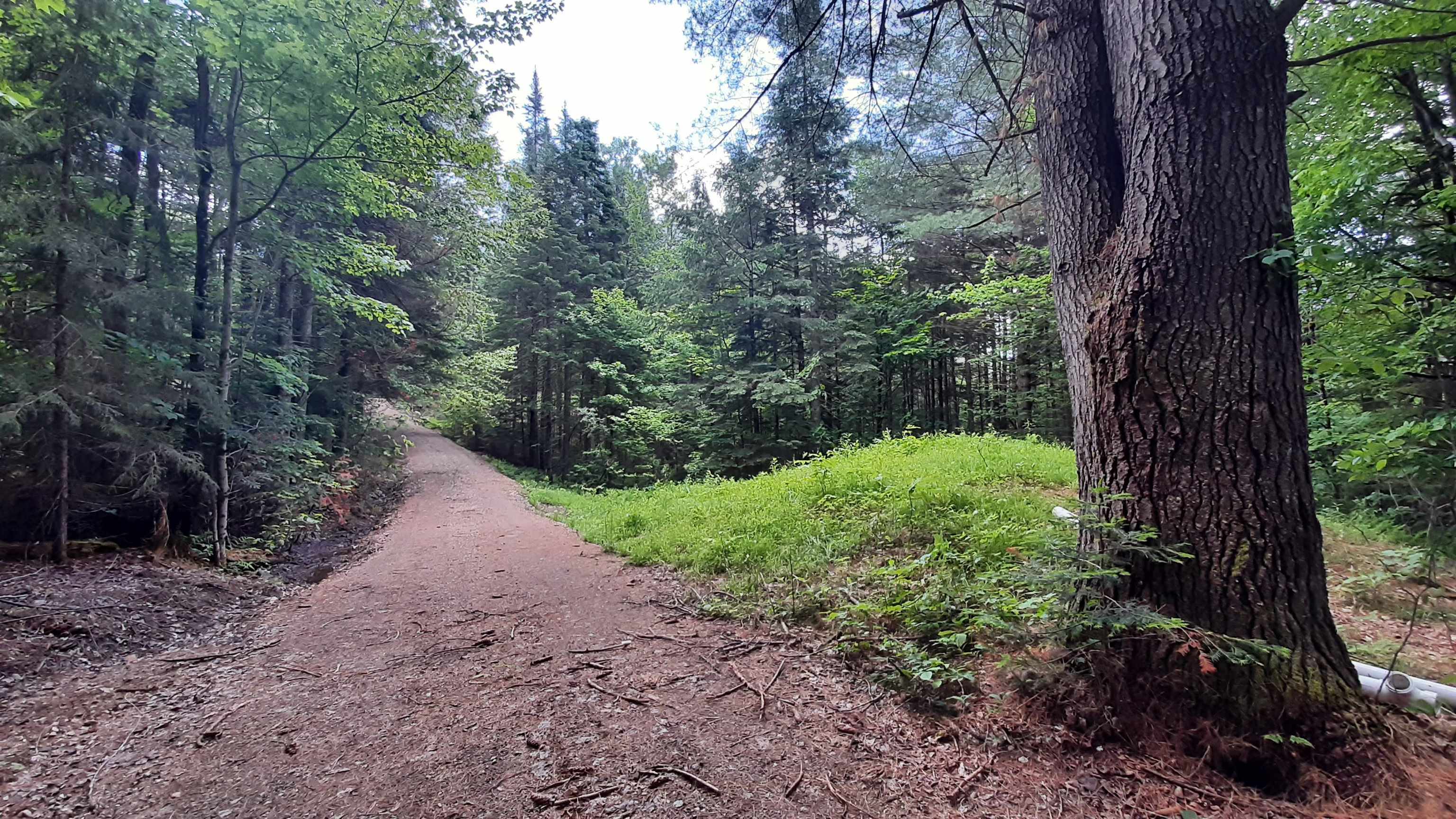 Homes for sale in Weston, VT | 0 Route 155, Weston, VT 05161 | MLS# 4905774