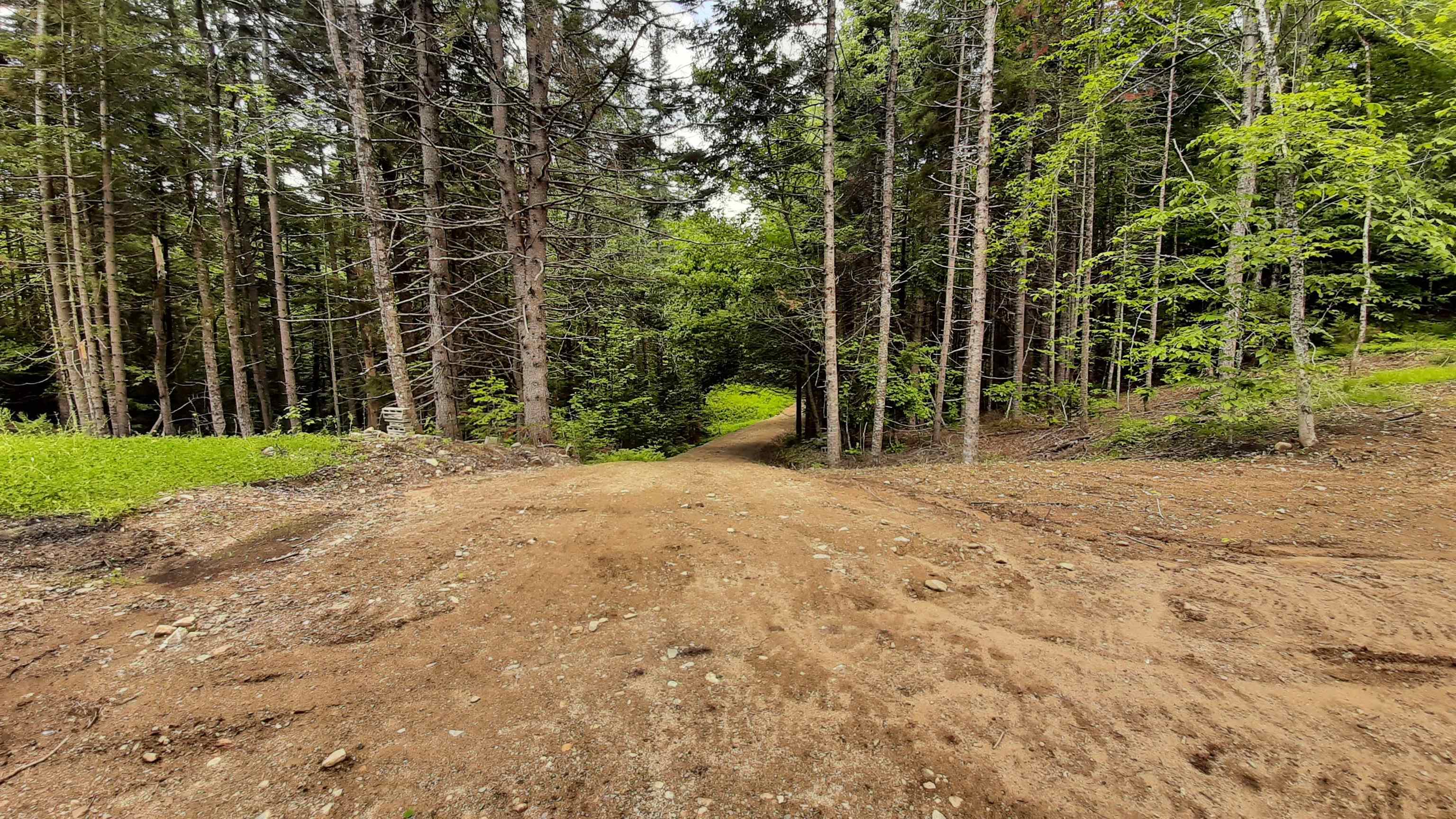 Homes for sale in Weston, VT | 0 Route 155, Weston, VT 05161 | MLS# 4905774