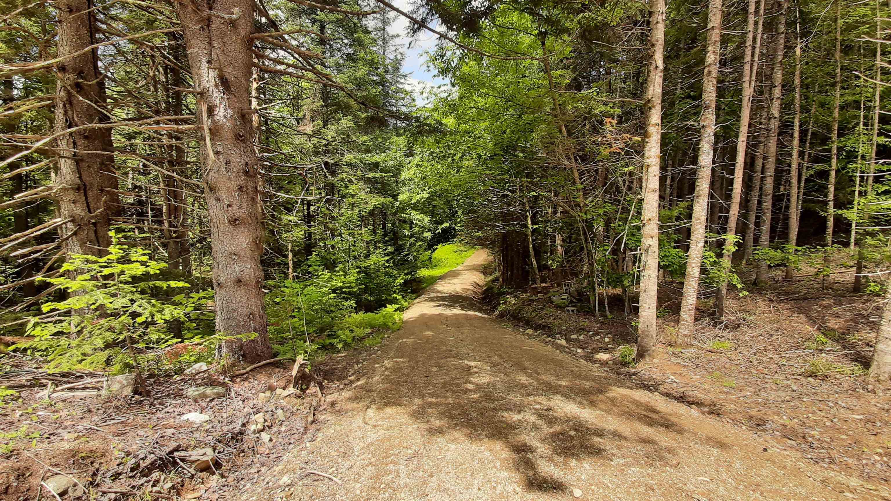 Homes for sale in Weston, VT | 0 Route 155, Weston, VT 05161 | MLS# 4905774