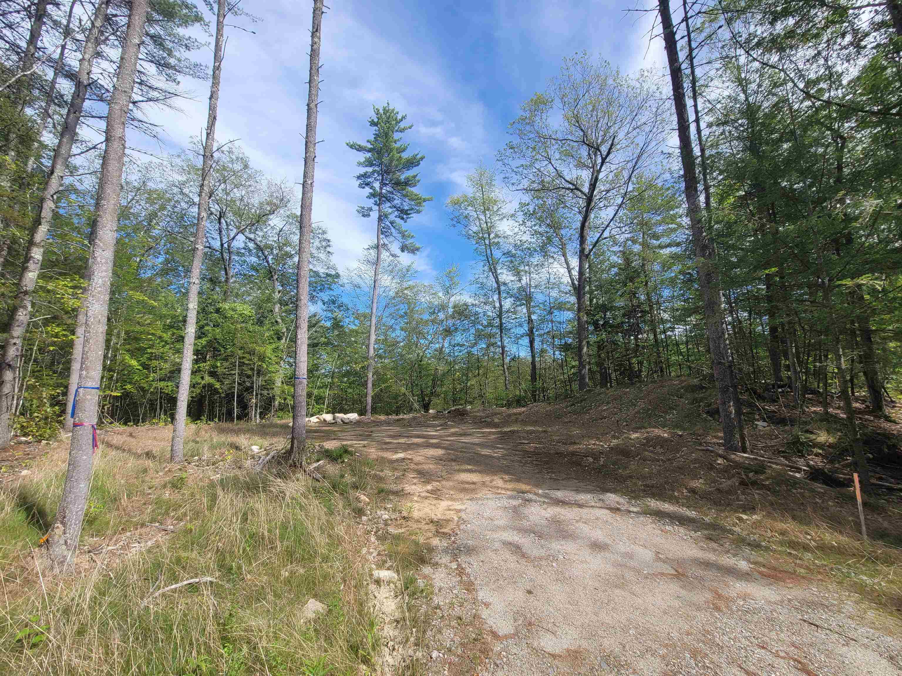 00 Altitude Overlook, Conway, NH 03818