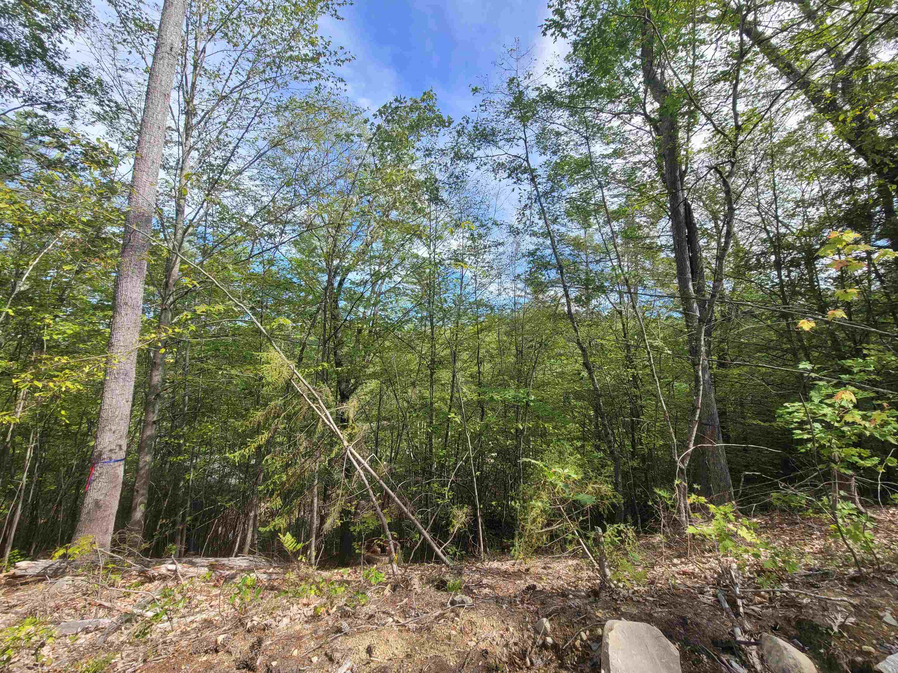 00 Altitude Overlook, Conway, NH 03818