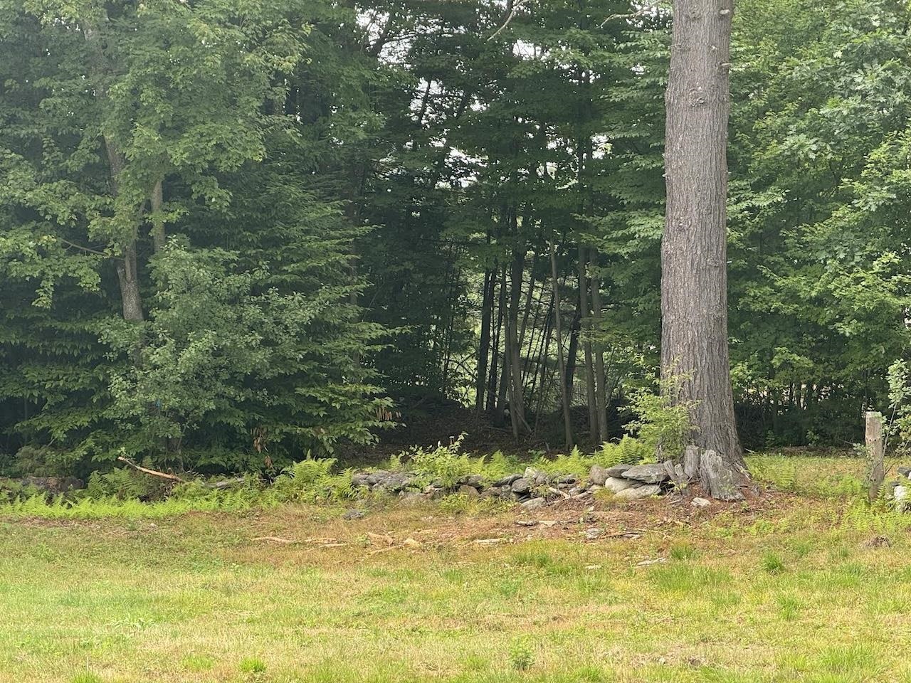 Homes for sale in Chesterfield, NH | Stow Dr, Chesterfield, NH 03466 | MLS# 4929741