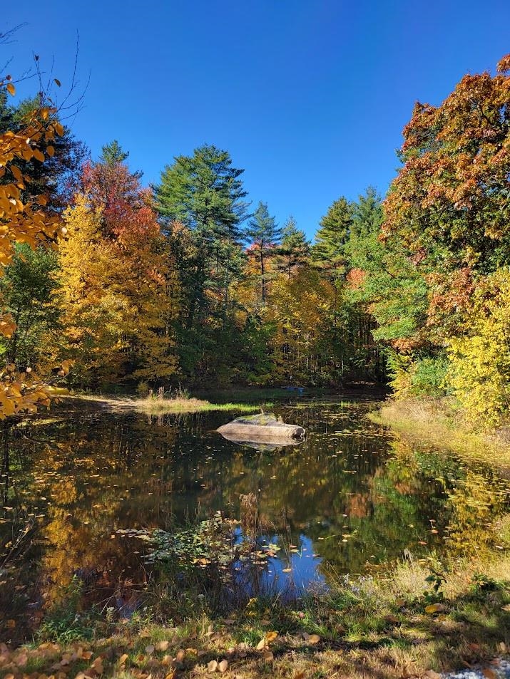 Homes for sale in Milford, NH | 347 Mason Rd, Milford, NH 03055 | MLS# 4934123