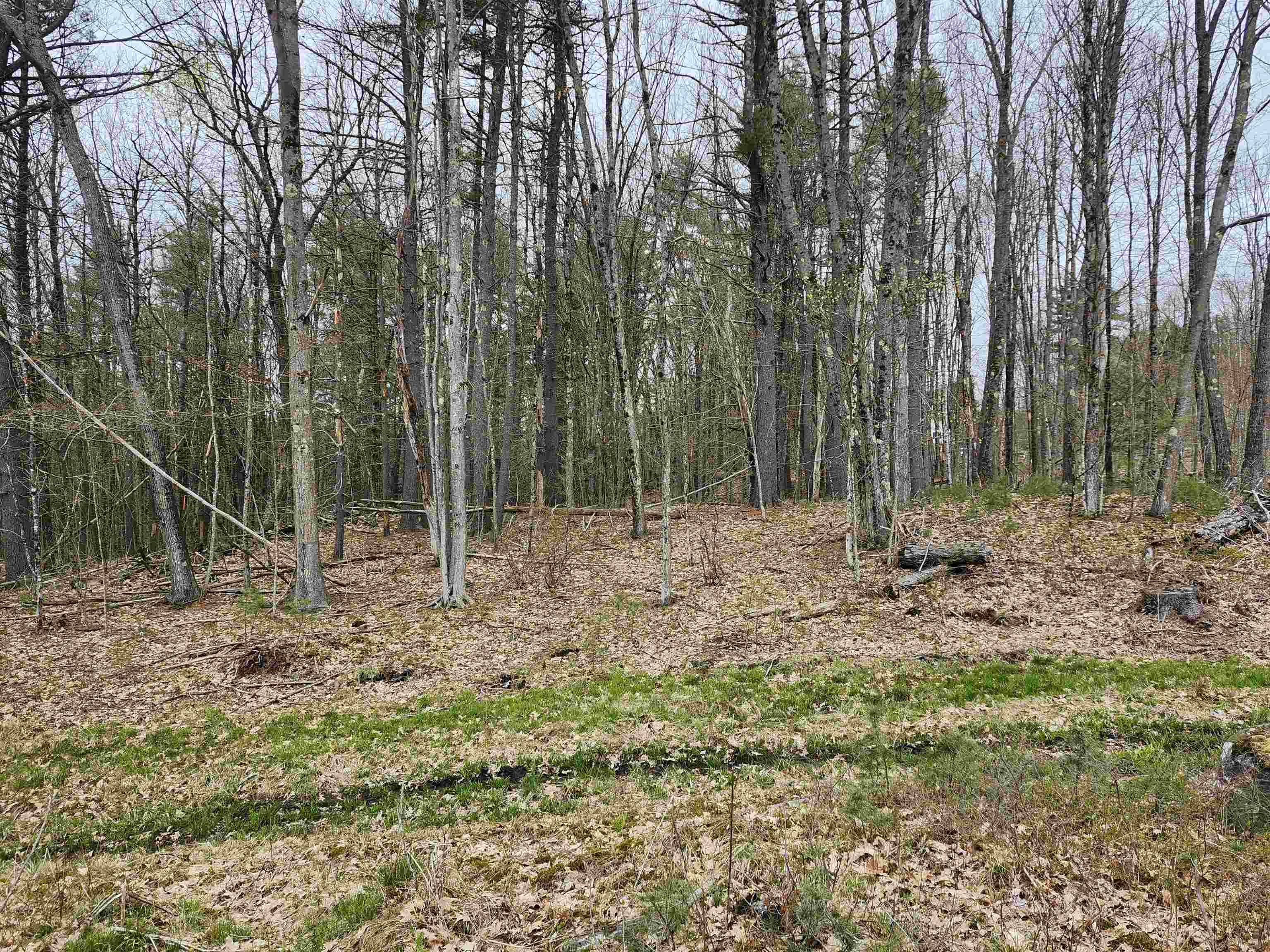 MLS #4941124 image #15