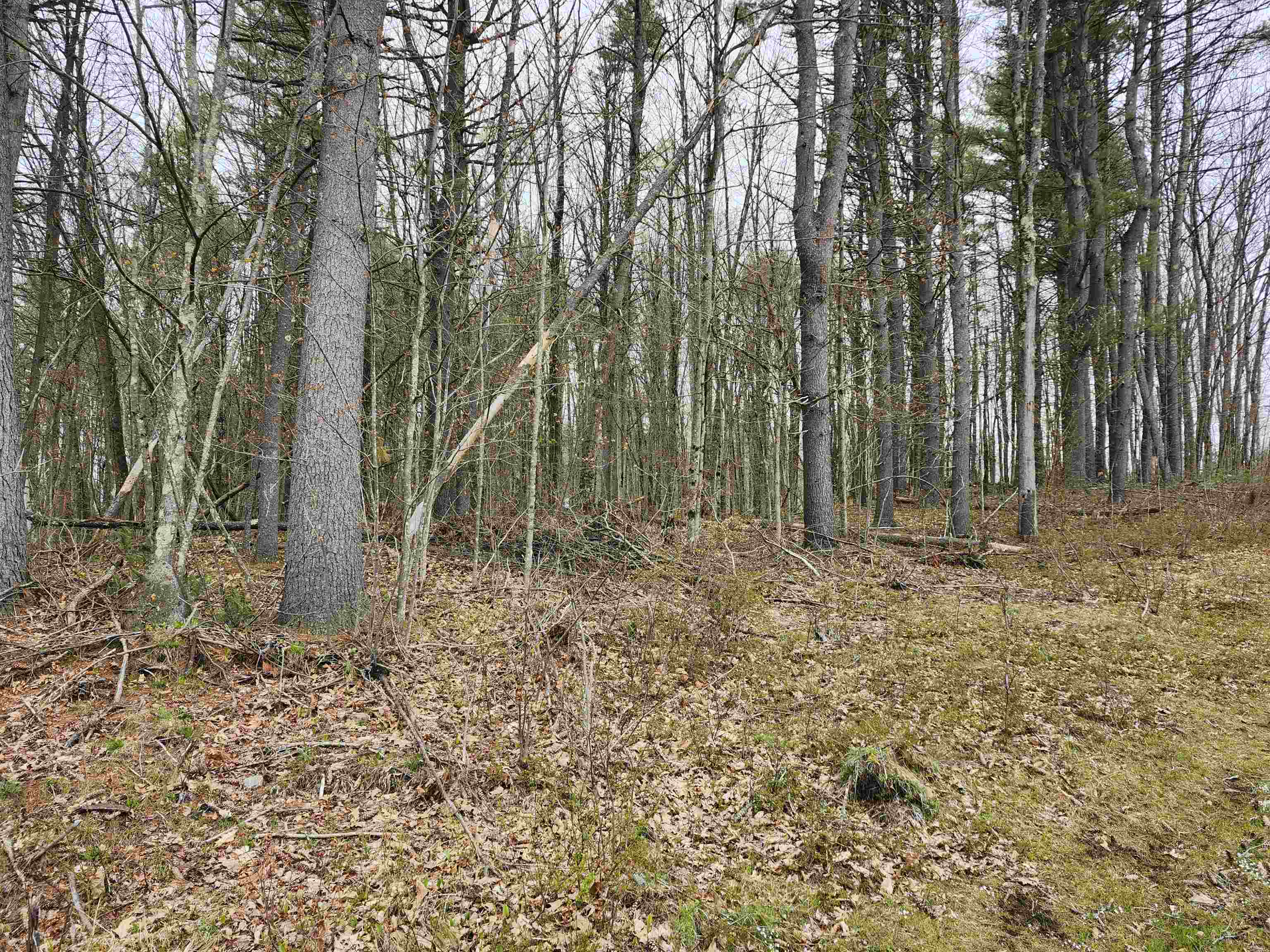 MLS #4941124 image #17