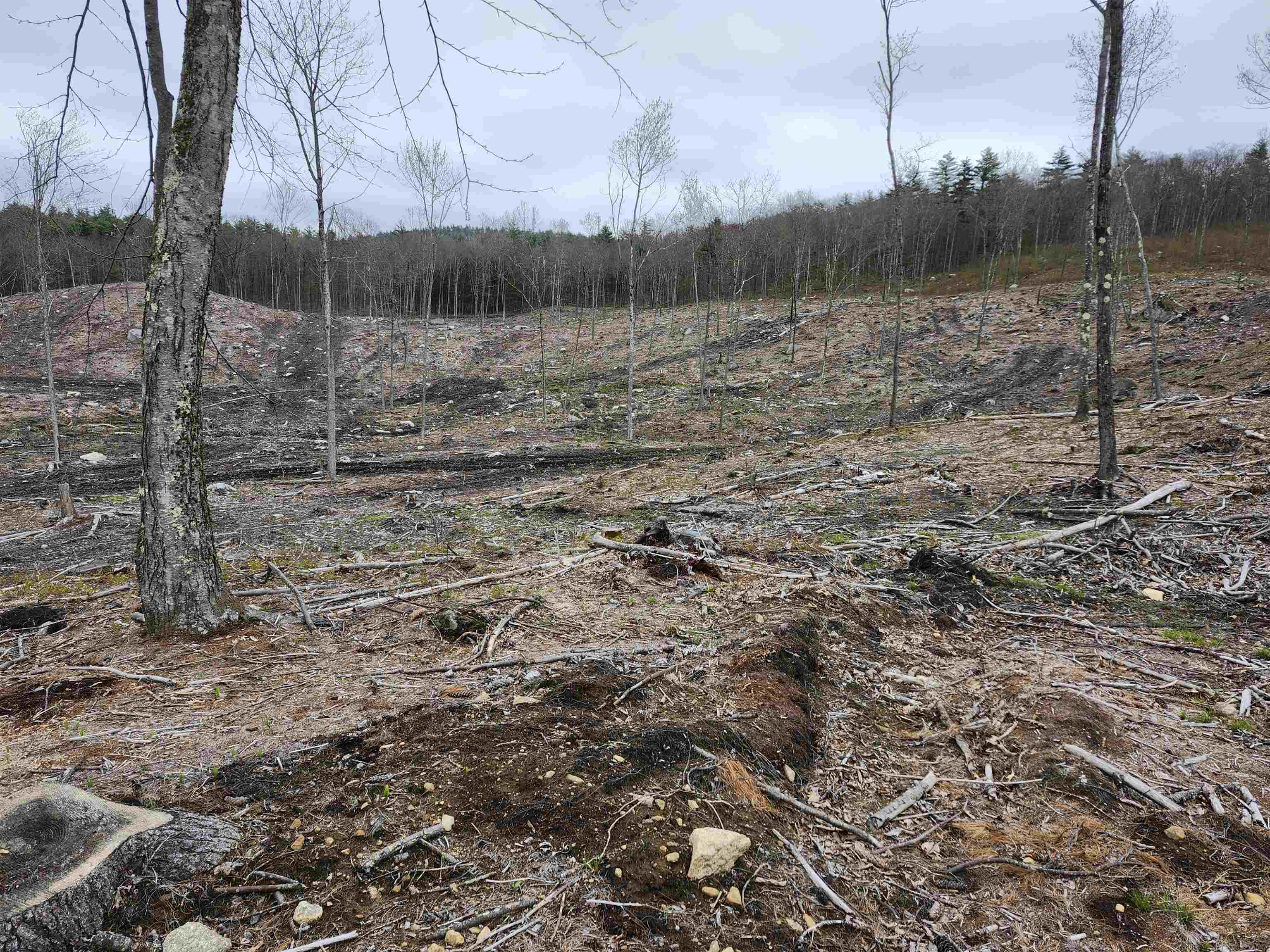 MLS #4941124 image #18