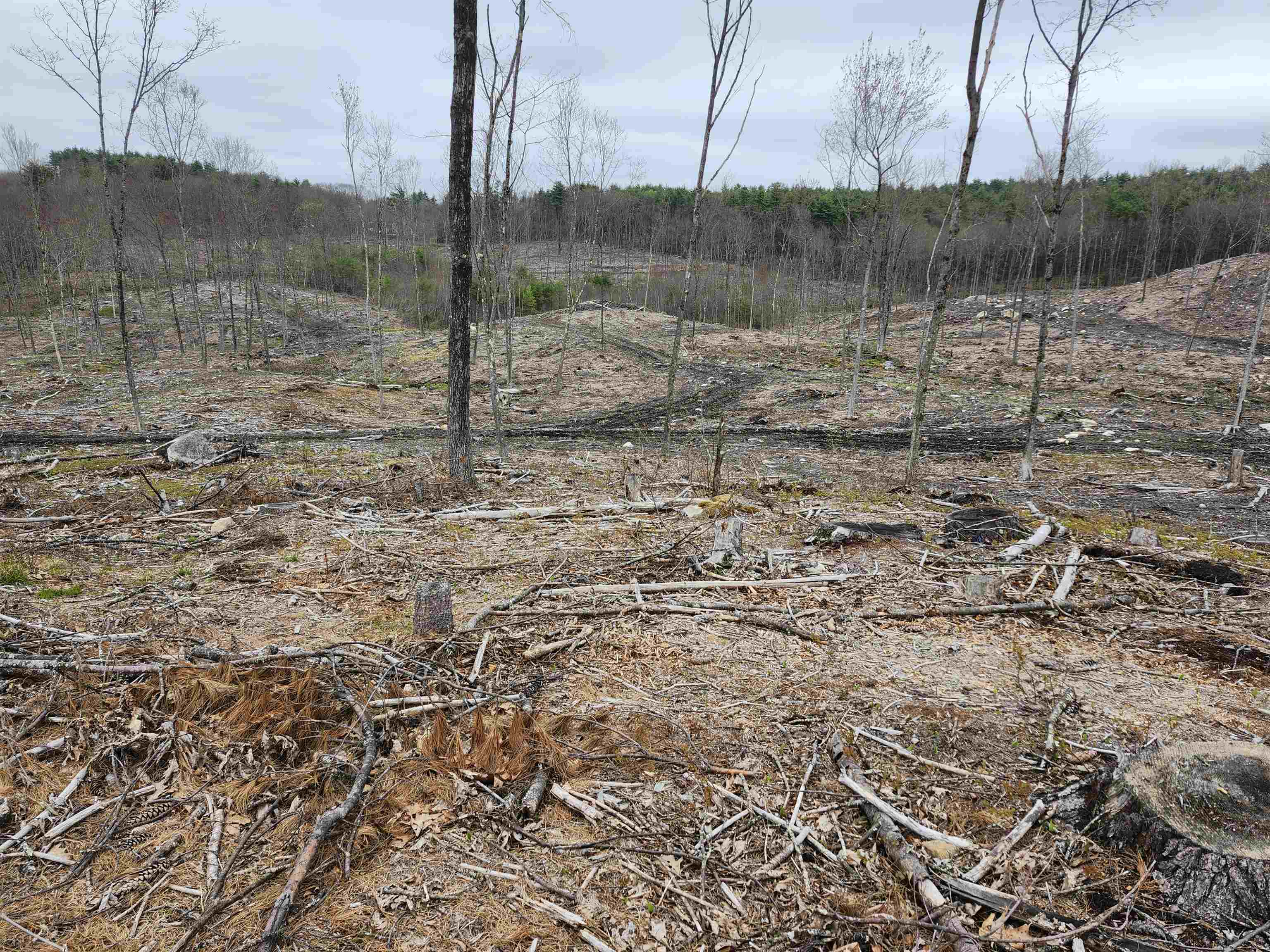 MLS #4941124 image #19