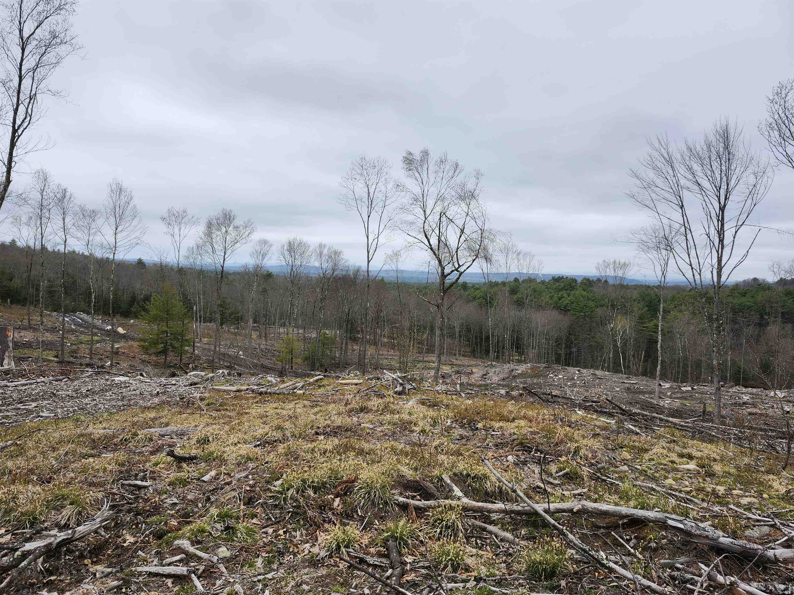 MLS #4941124 image #20