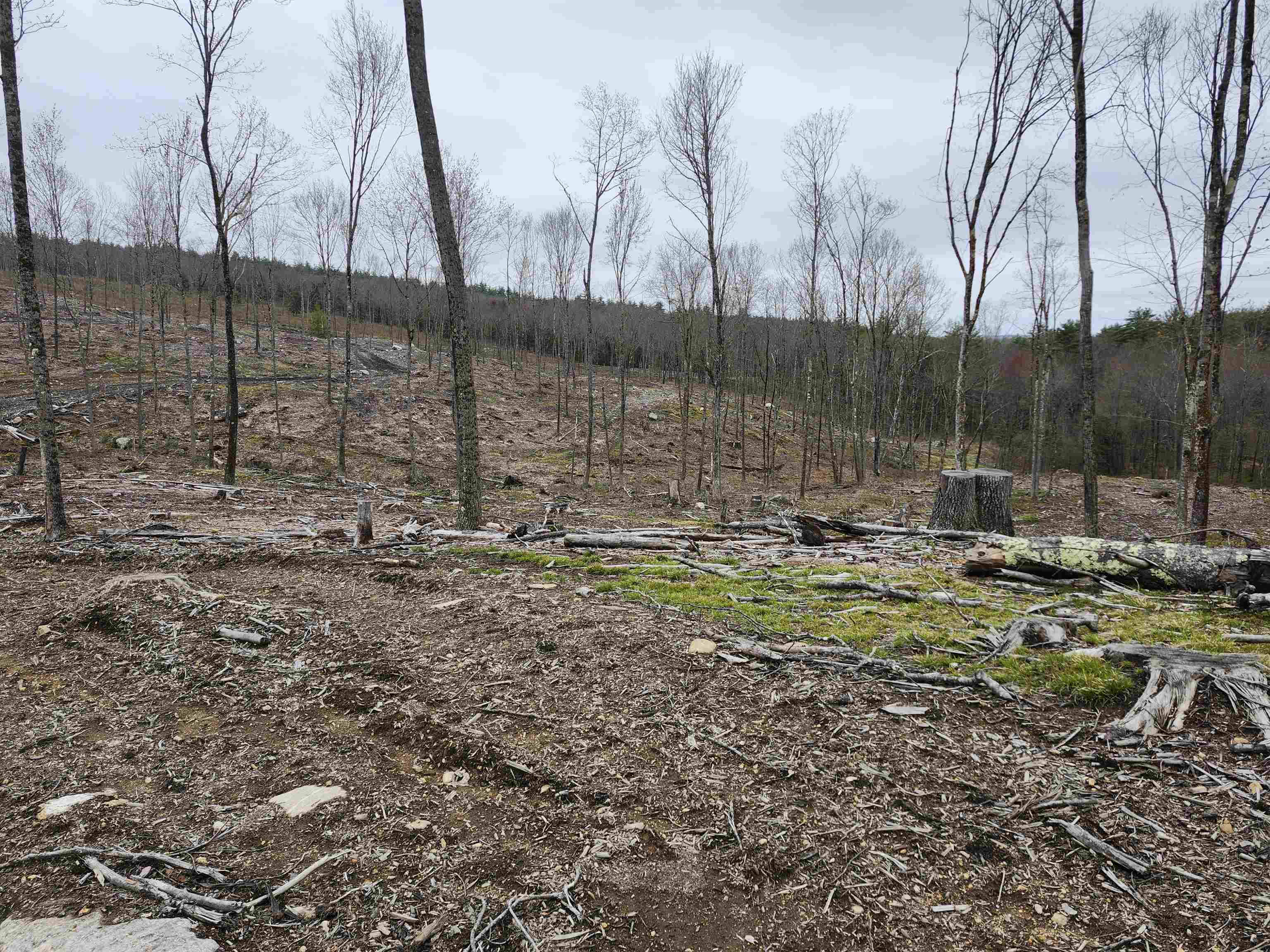 MLS #4941124 image #21