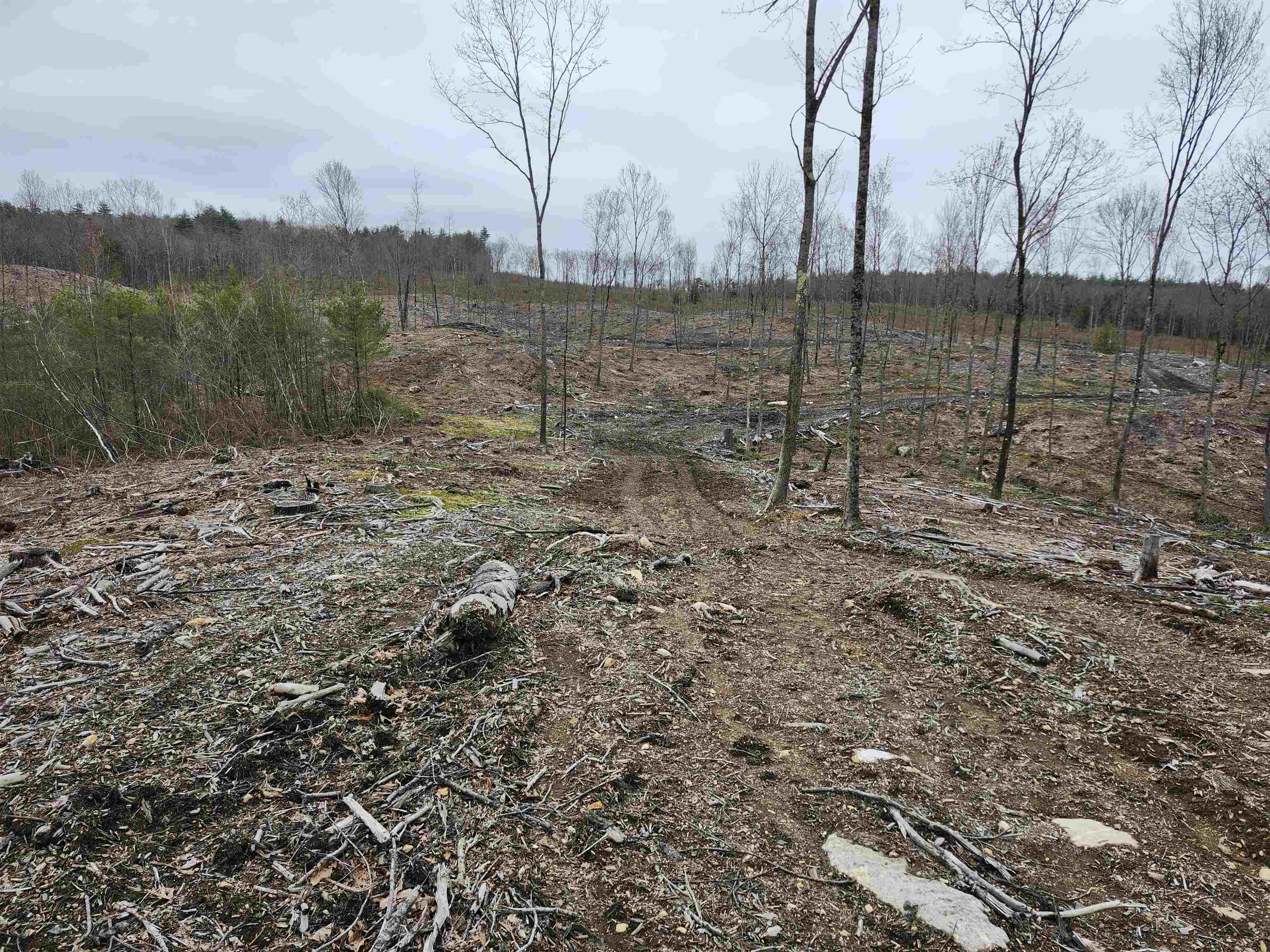 MLS #4941124 image #22