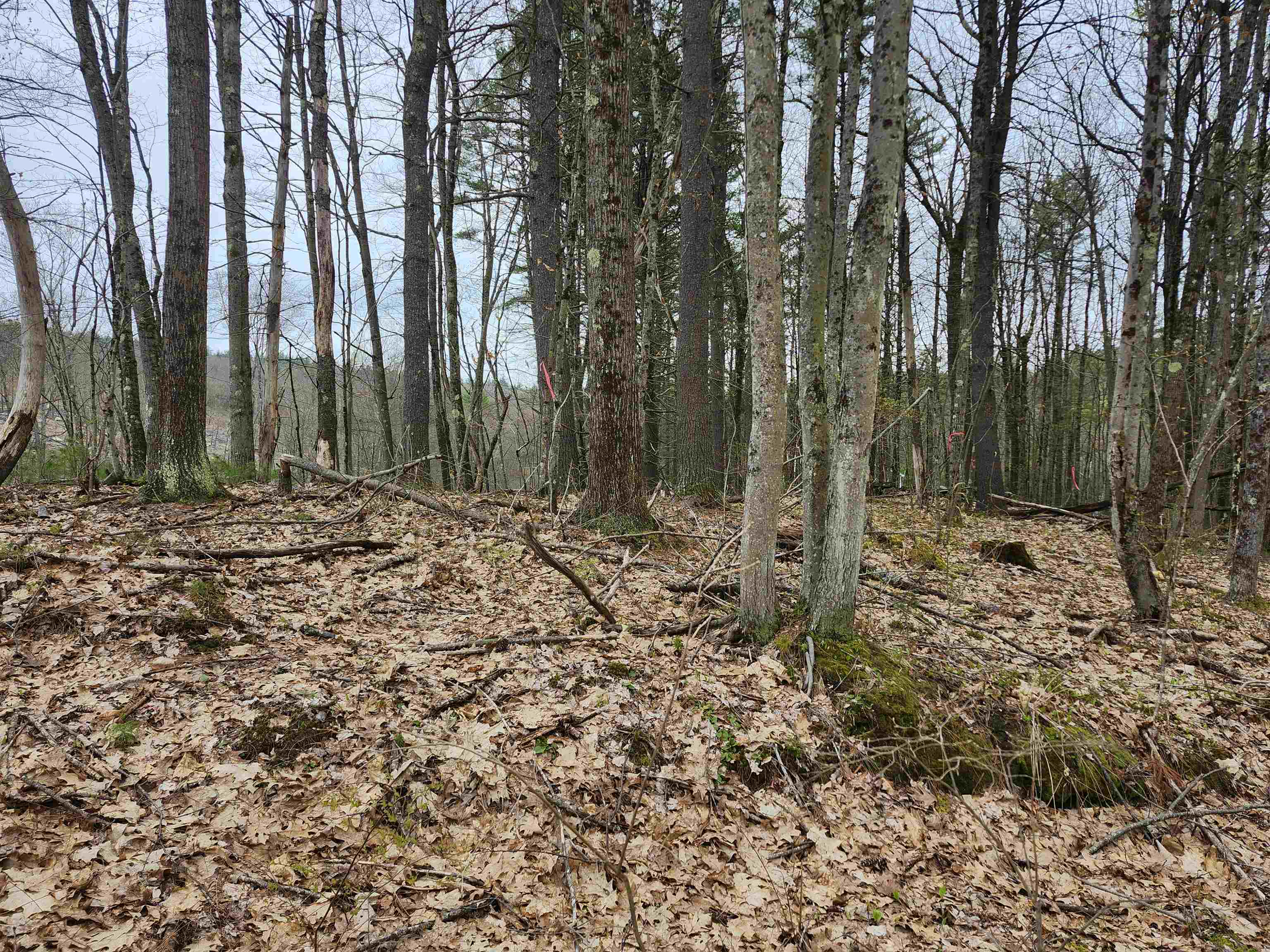 MLS #4941124 image #23