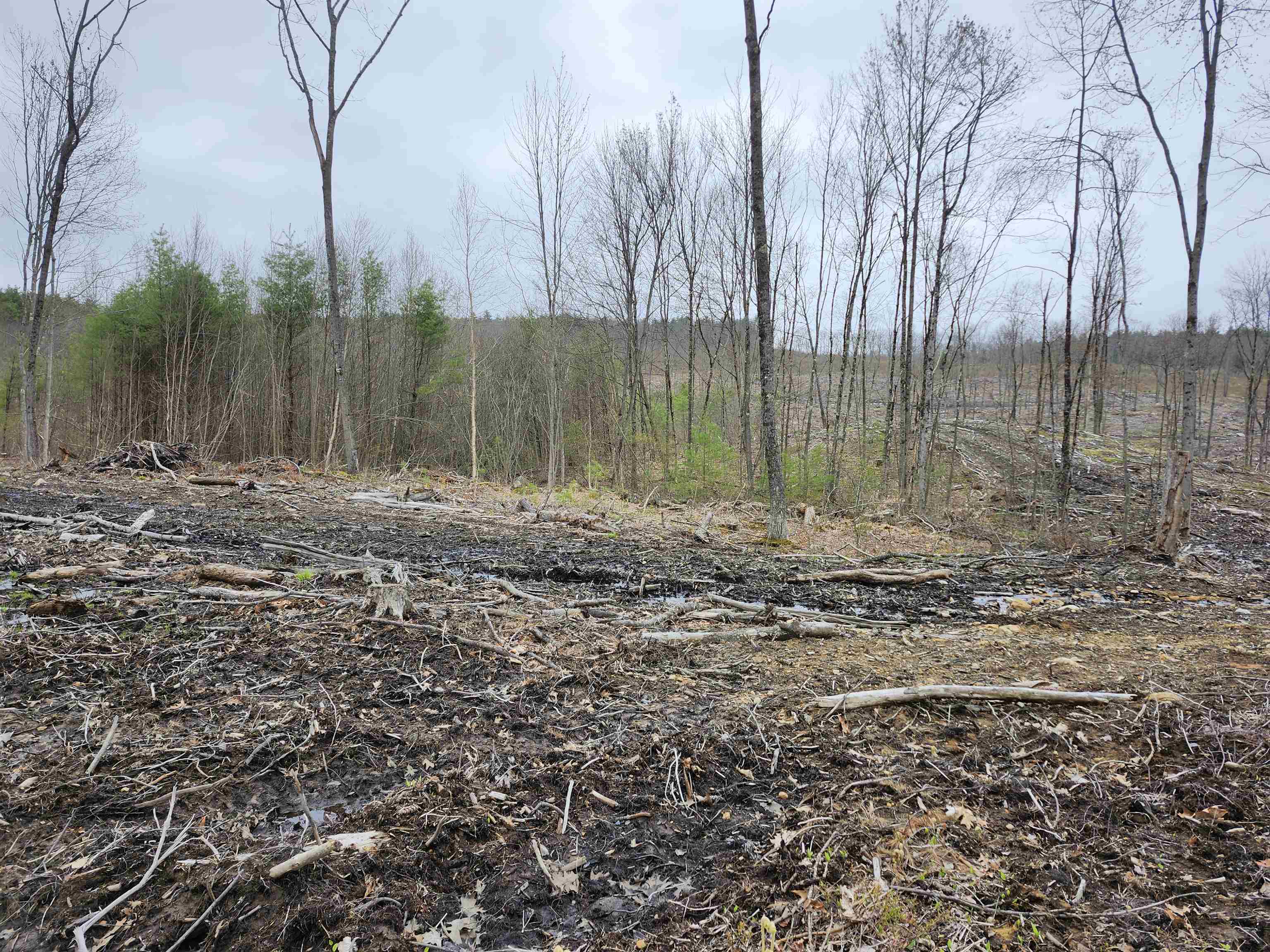 MLS #4941124 image #24