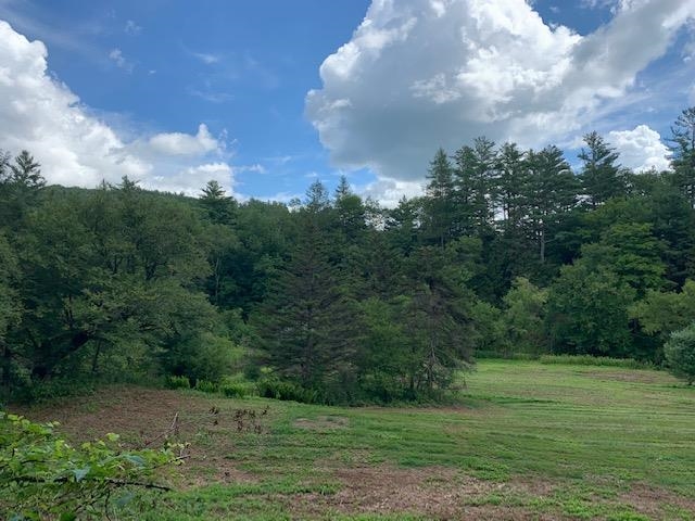 Homes for sale in Woodstock, VT | 0 Barnard Rd, Woodstock, VT 05091 | MLS# 4945272