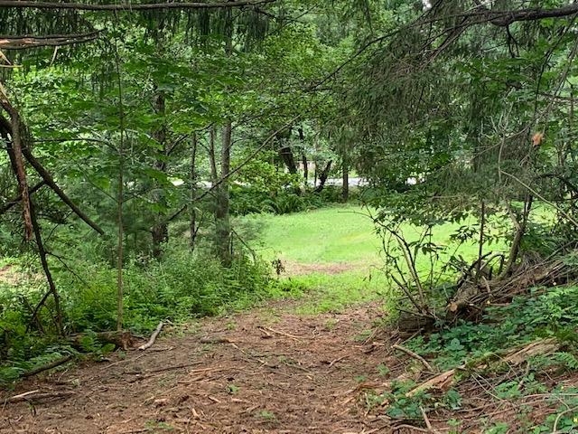 Homes for sale in Woodstock, VT | 0 Barnard Rd, Woodstock, VT 05091 | MLS# 4945272