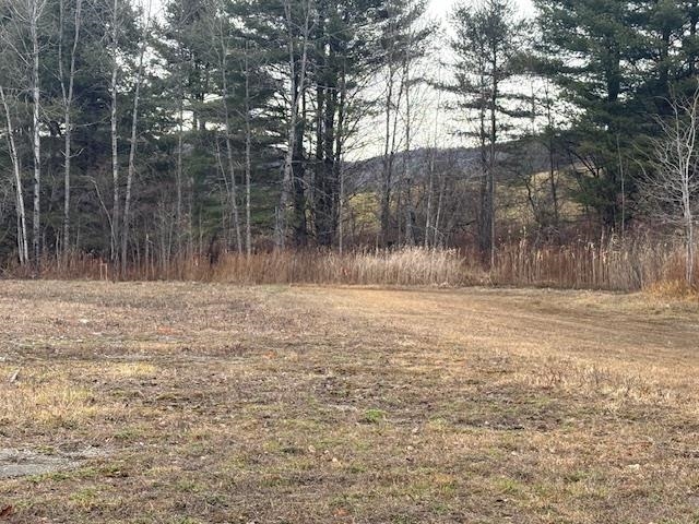 Homes for sale in Woodstock, VT | 458 Woodstock Rd, Woodstock, VT 05091 | MLS# 4945772