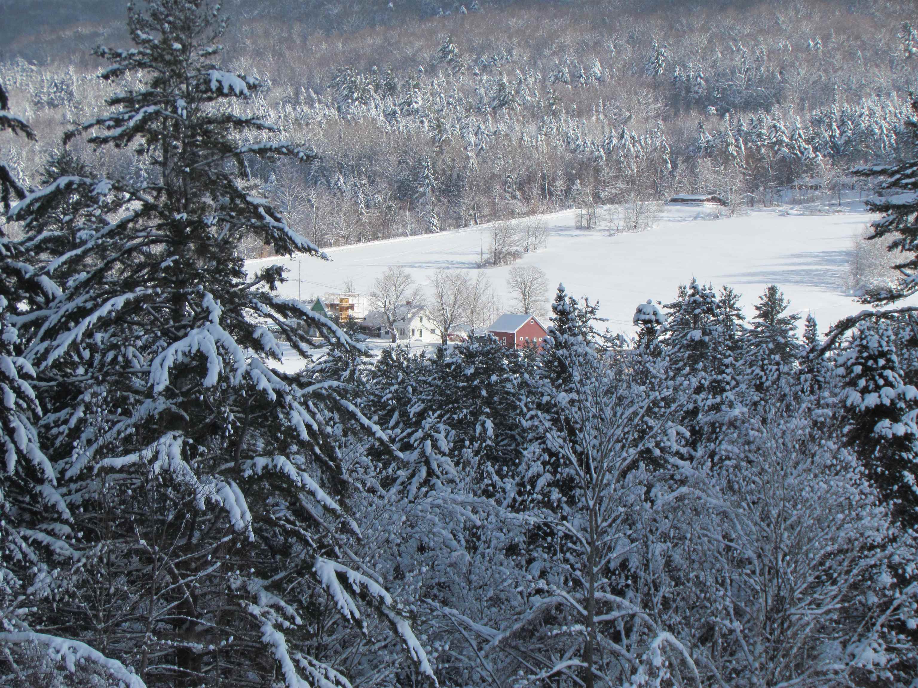VIEW OF FARMHOUSE ON SENOR RD 19885145