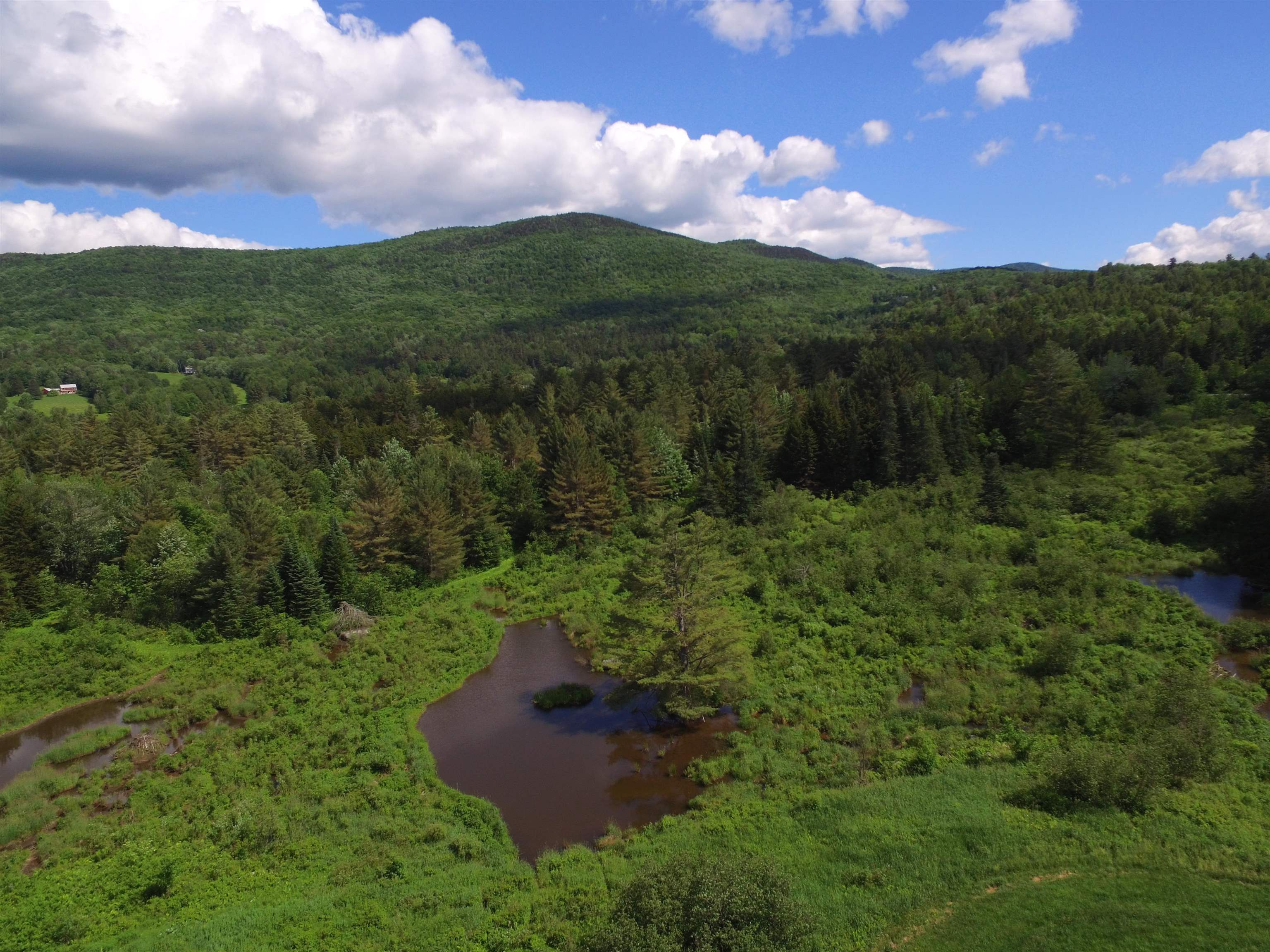 LUSH AND VIBRANT WITH PEACE AND QUIET 19885166