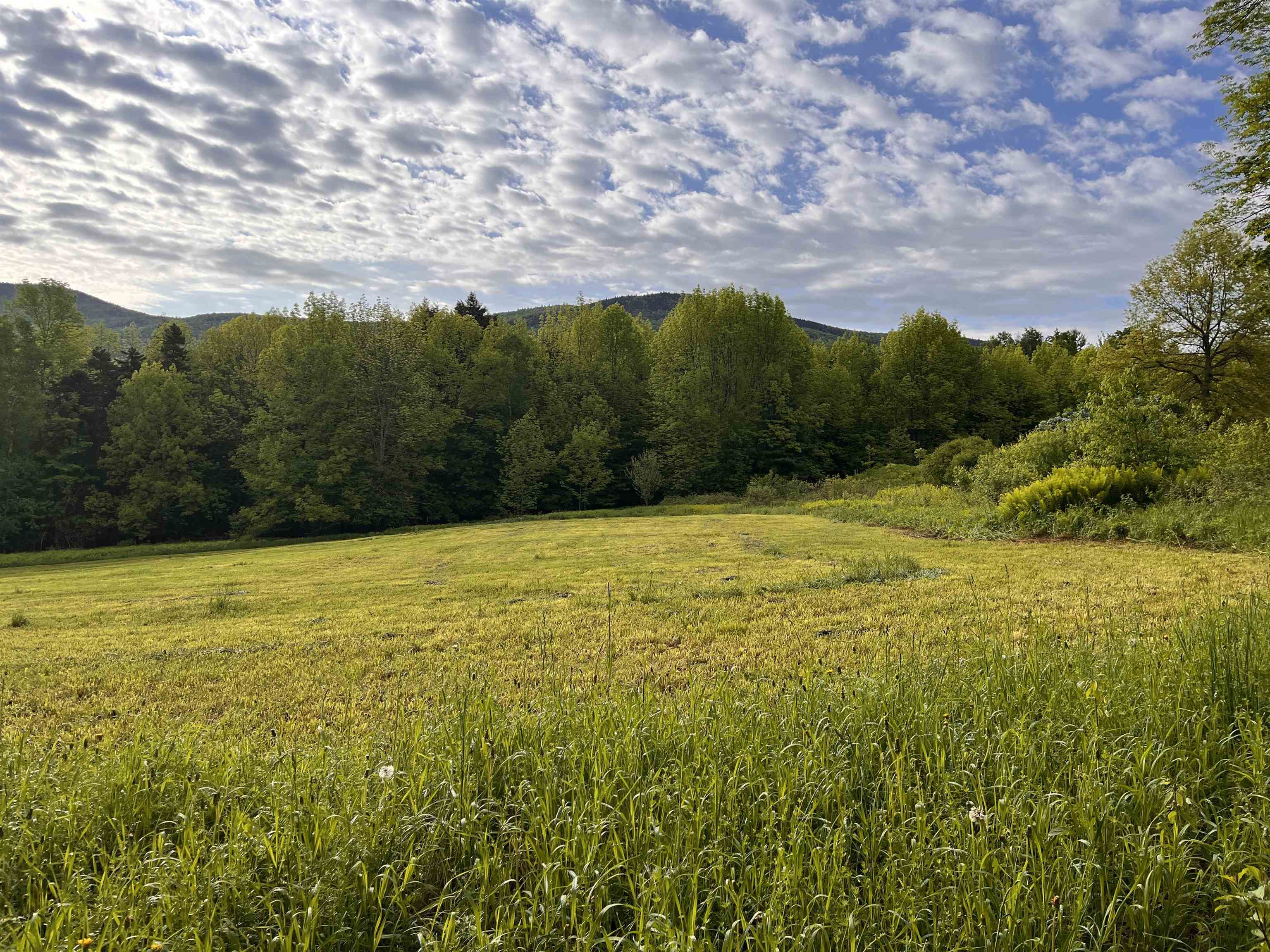 HOUSE SITE ENTRANCE FROM PLUNKTON ROAD 21744356