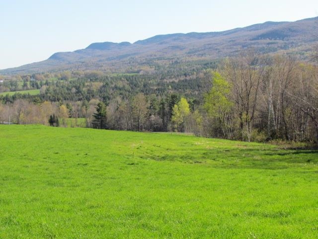 VIEW NEAR HOUSE SITE LOCATION 19885181