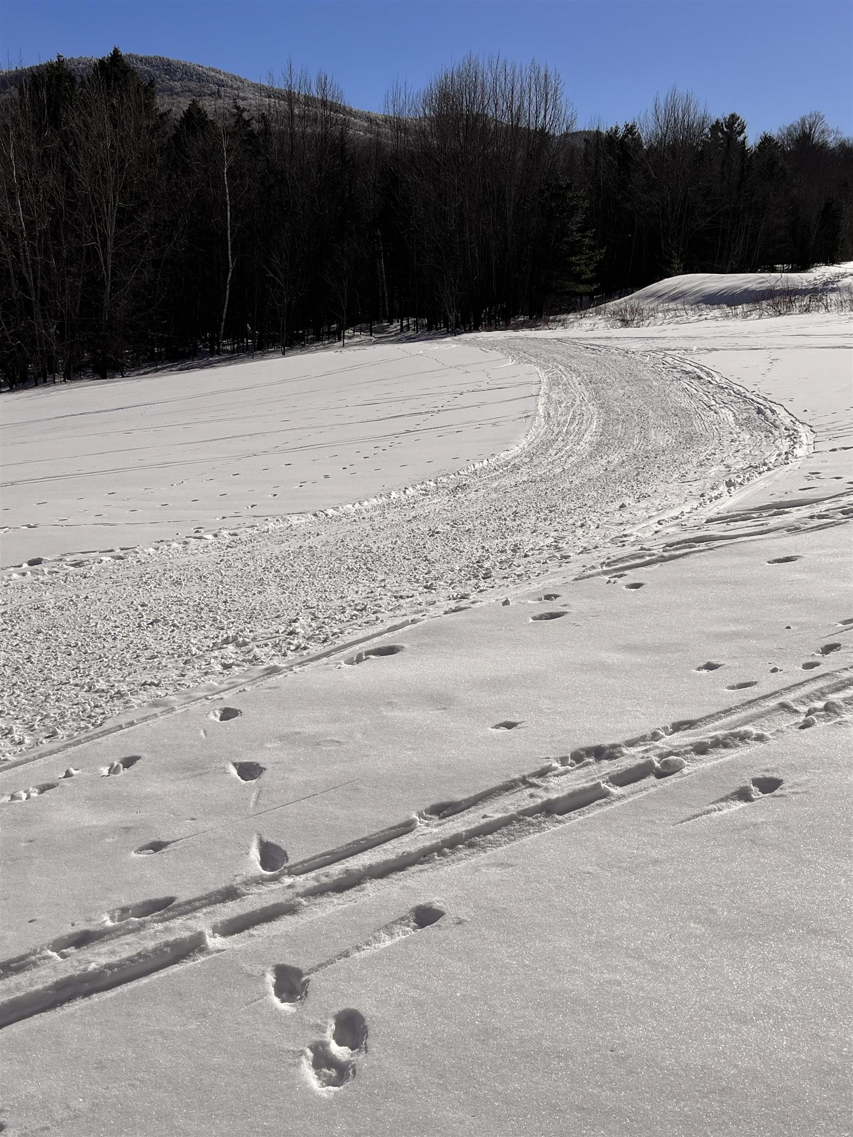 POSSIBLE ACCESS ACROSS TOP OF THE MEADOW 21132218