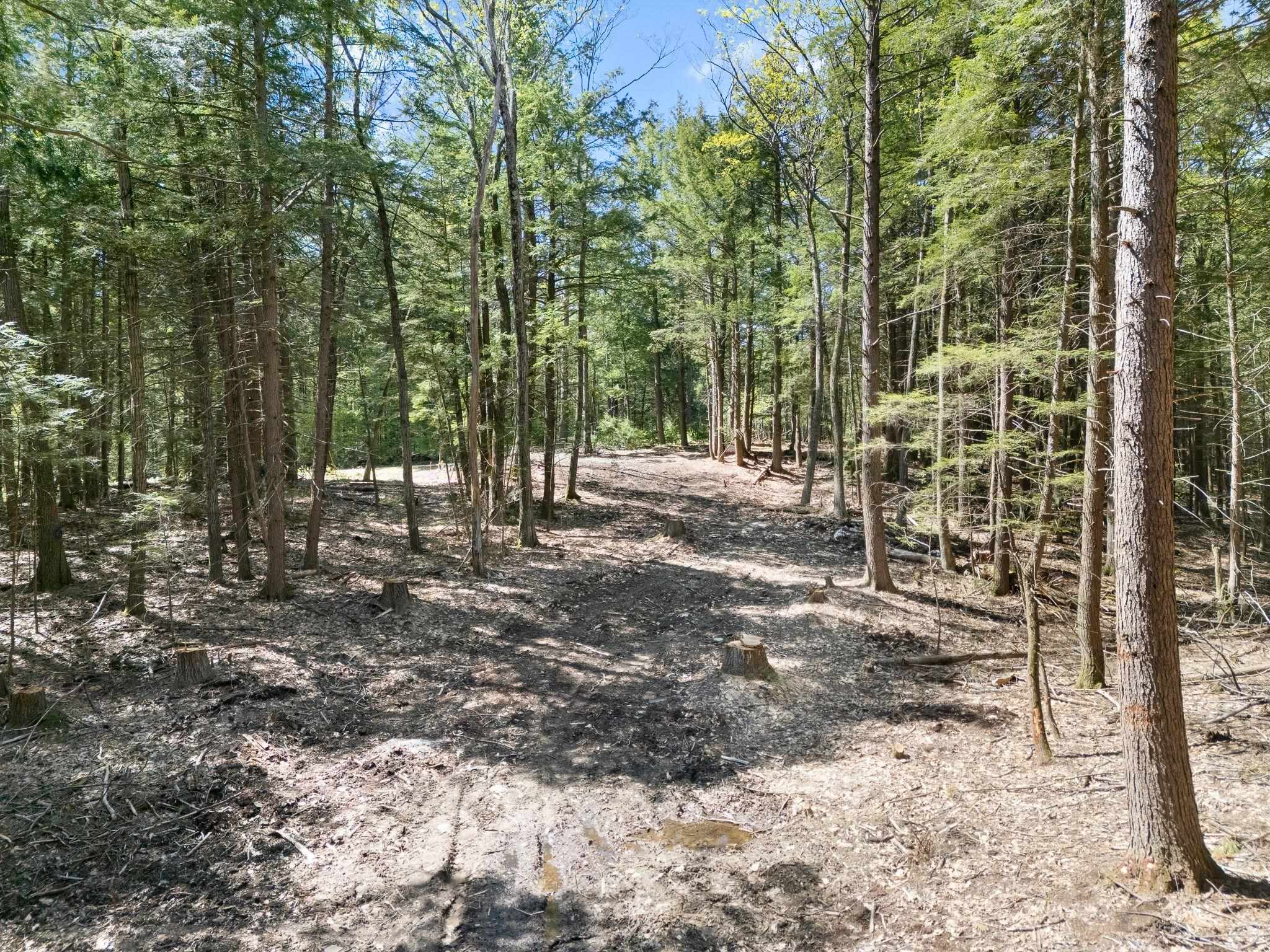 Homes for sale in Westminster, VT | 0 Old Ledge Rd, Westminster, VT 05159 | MLS# 4950217