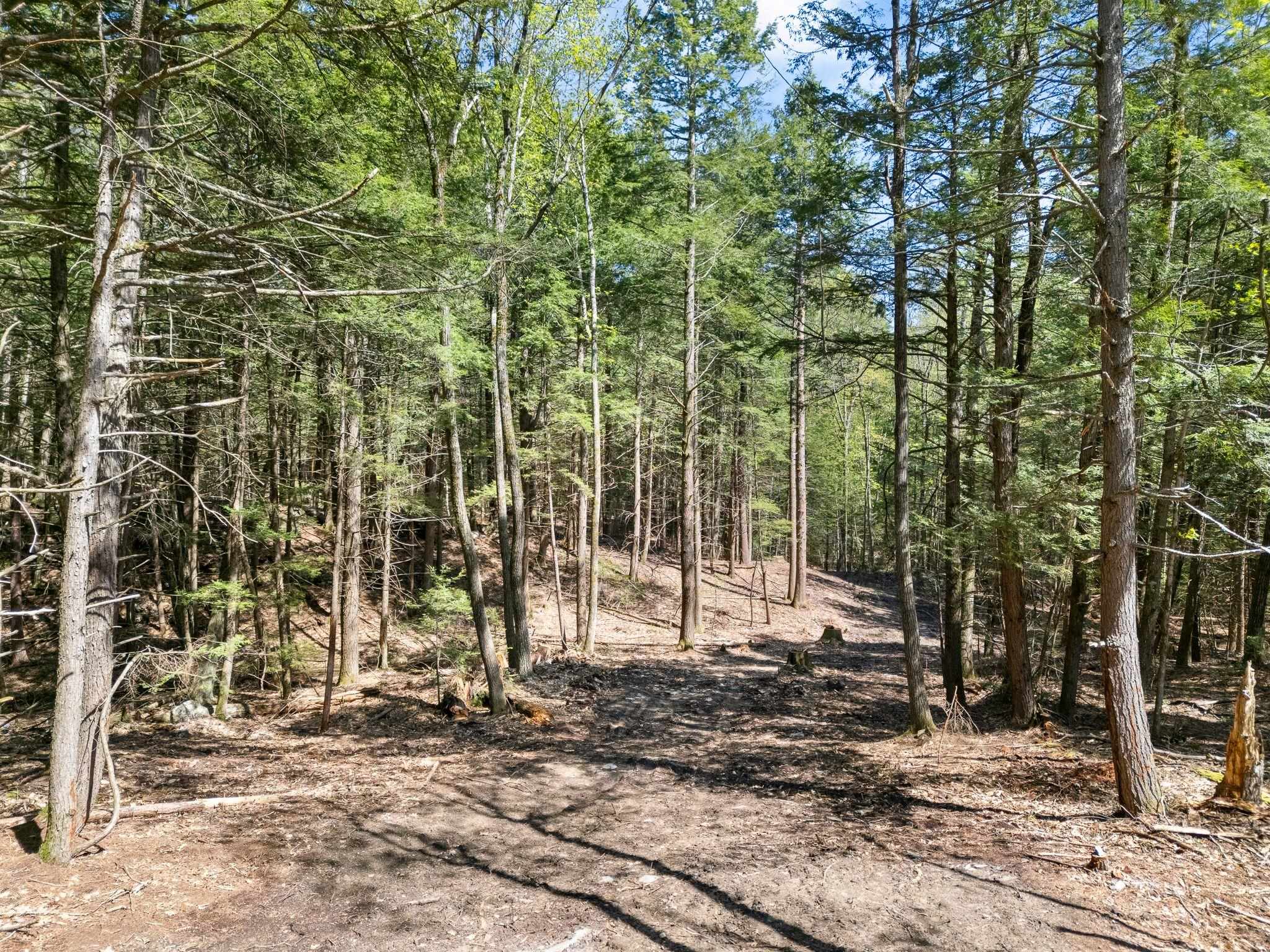 Homes for sale in Westminster, VT | 0 Old Ledge Rd, Westminster, VT 05159 | MLS# 4950217