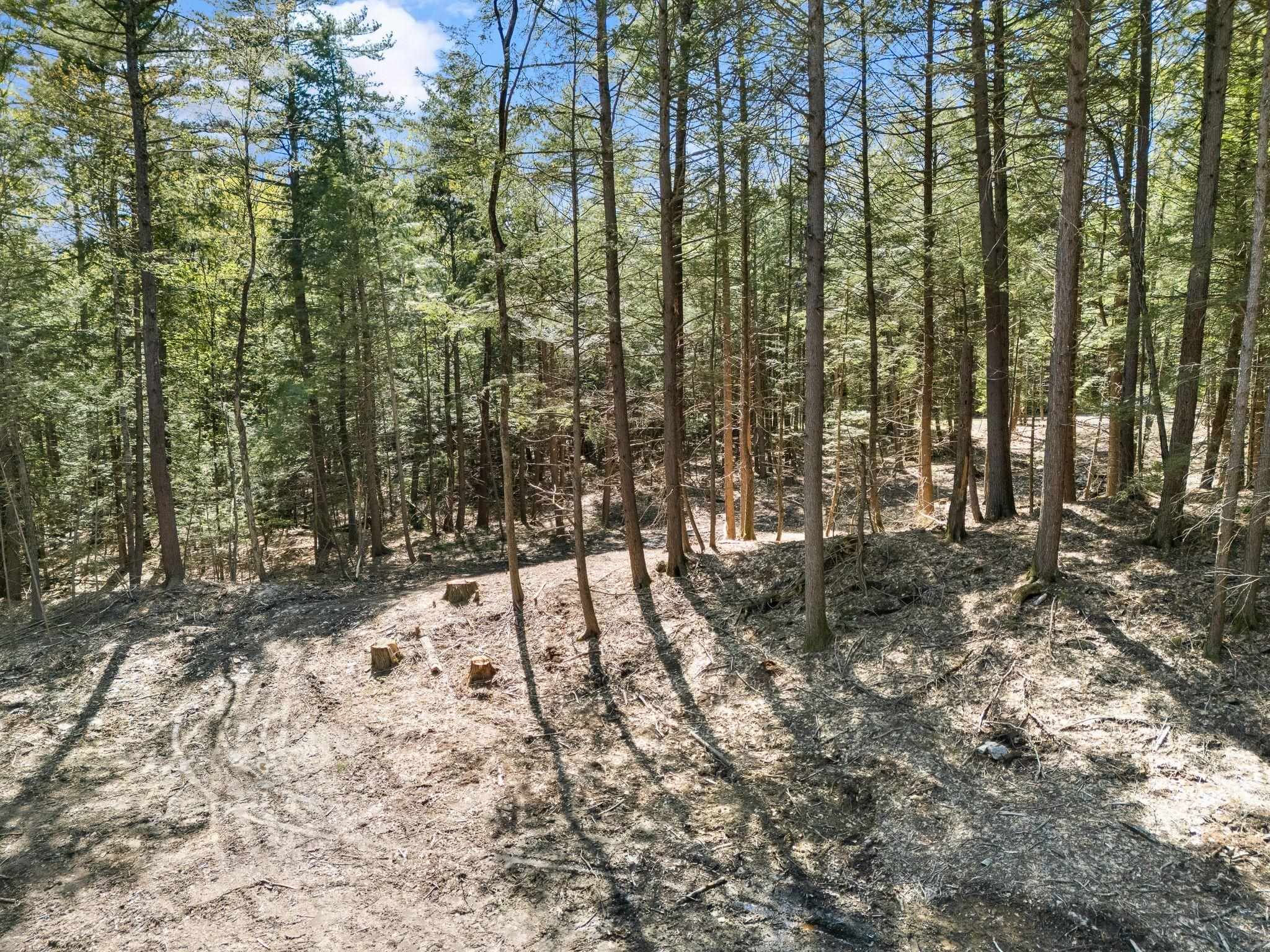 Homes for sale in Westminster, VT | 0 Old Ledge Rd, Westminster, VT 05159 | MLS# 4950217