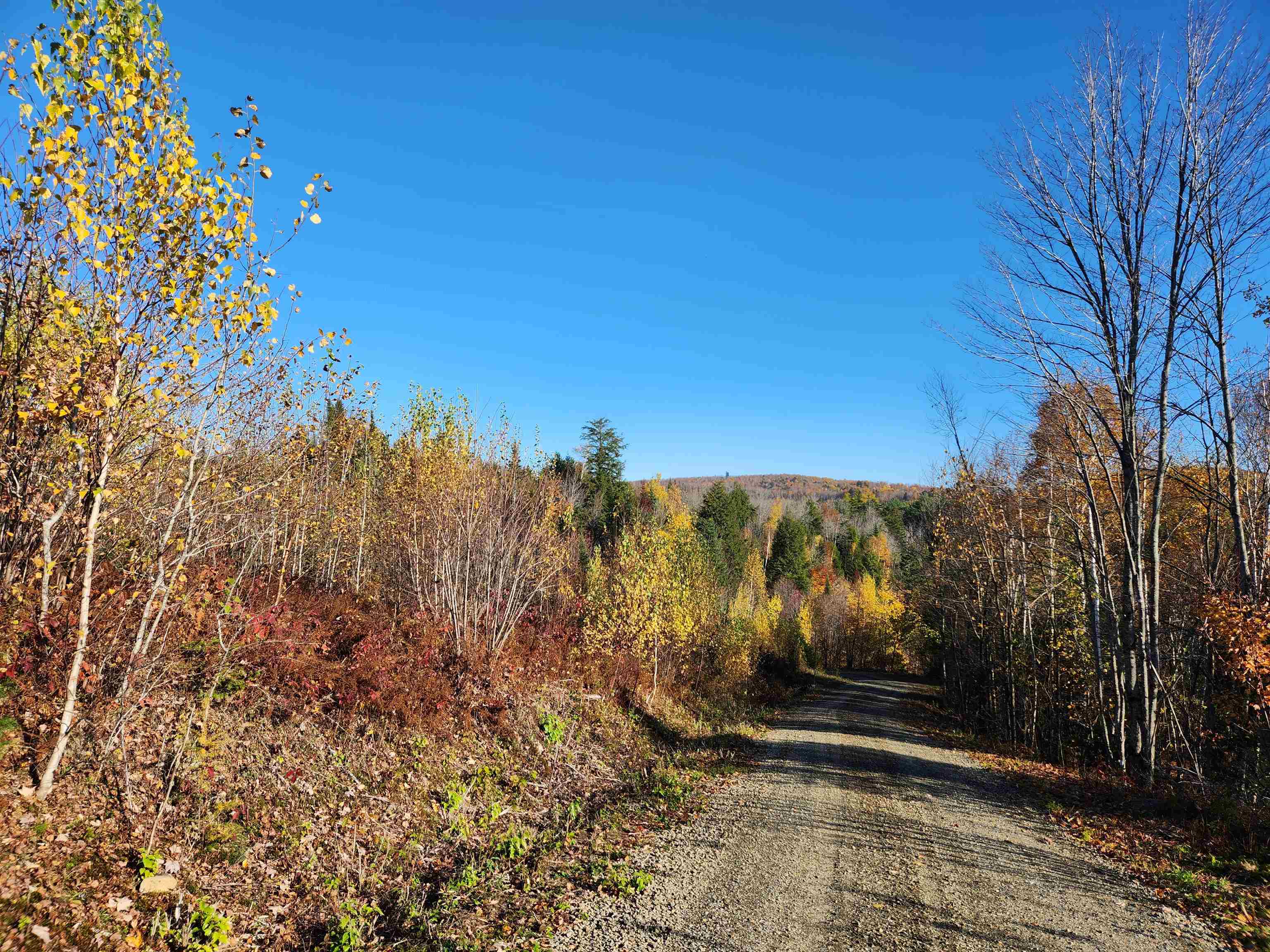 Homes for sale in Stratford, NH | 0 Town Line Rd, Stratford, NH 03590 | MLS# 4953131