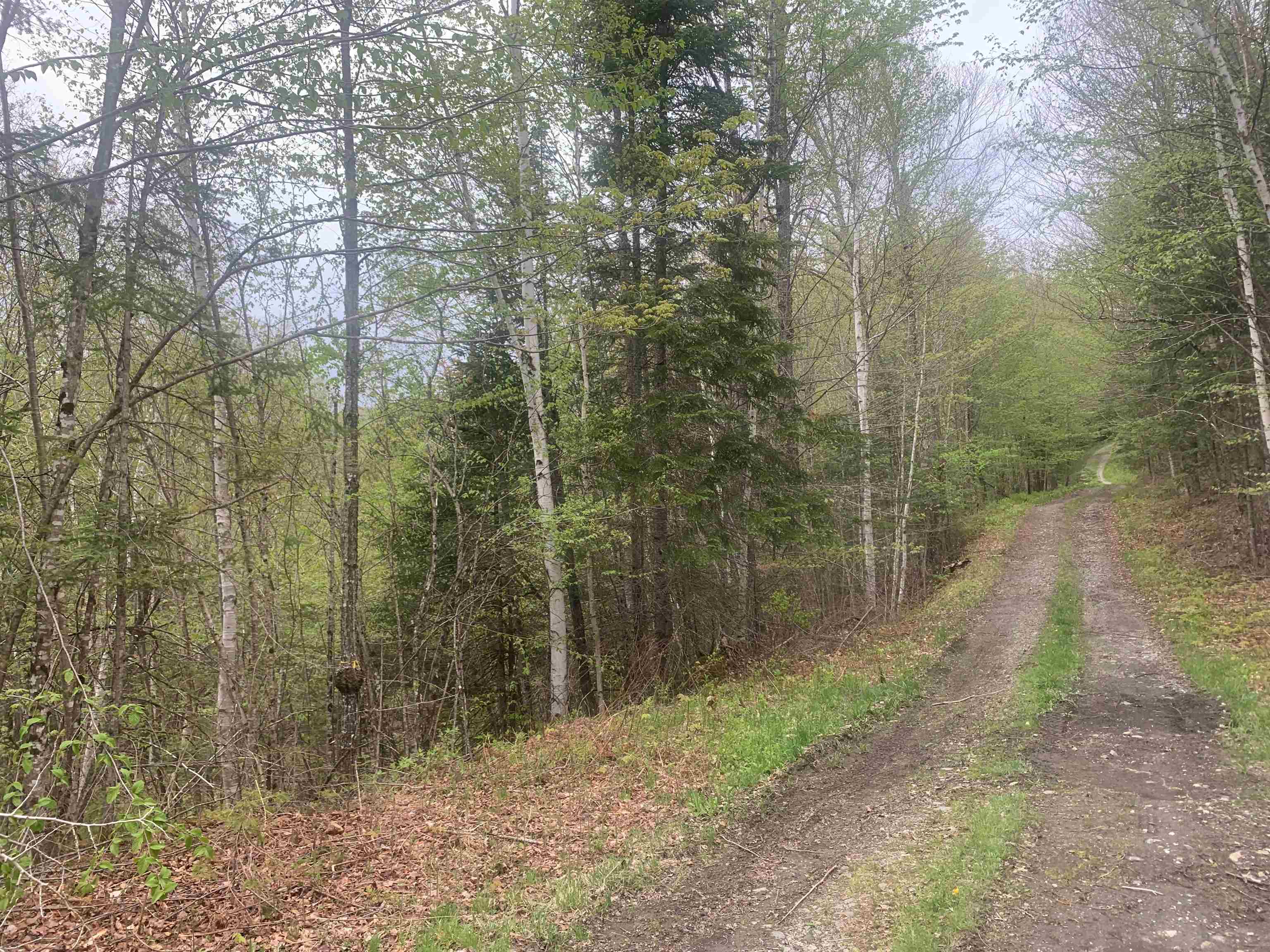 Homes for sale in Pittsburg, NH | 0 Bacon Rd, Pittsburg, NH 03592 | MLS# 4954132