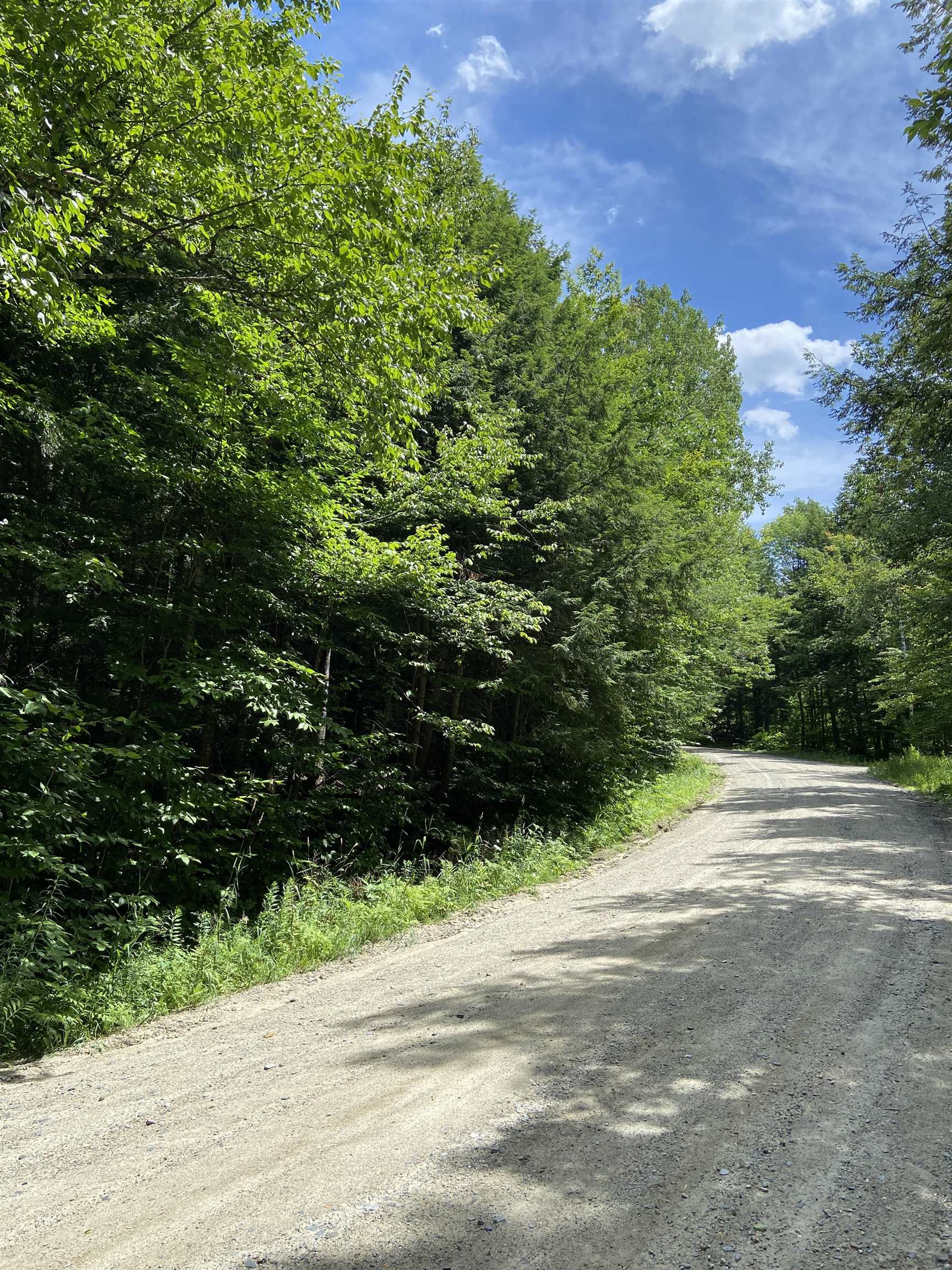 CAVENDISH VT LAND  for sale $$119,000 | 10.66 Acres  | Price Per Acre $0 