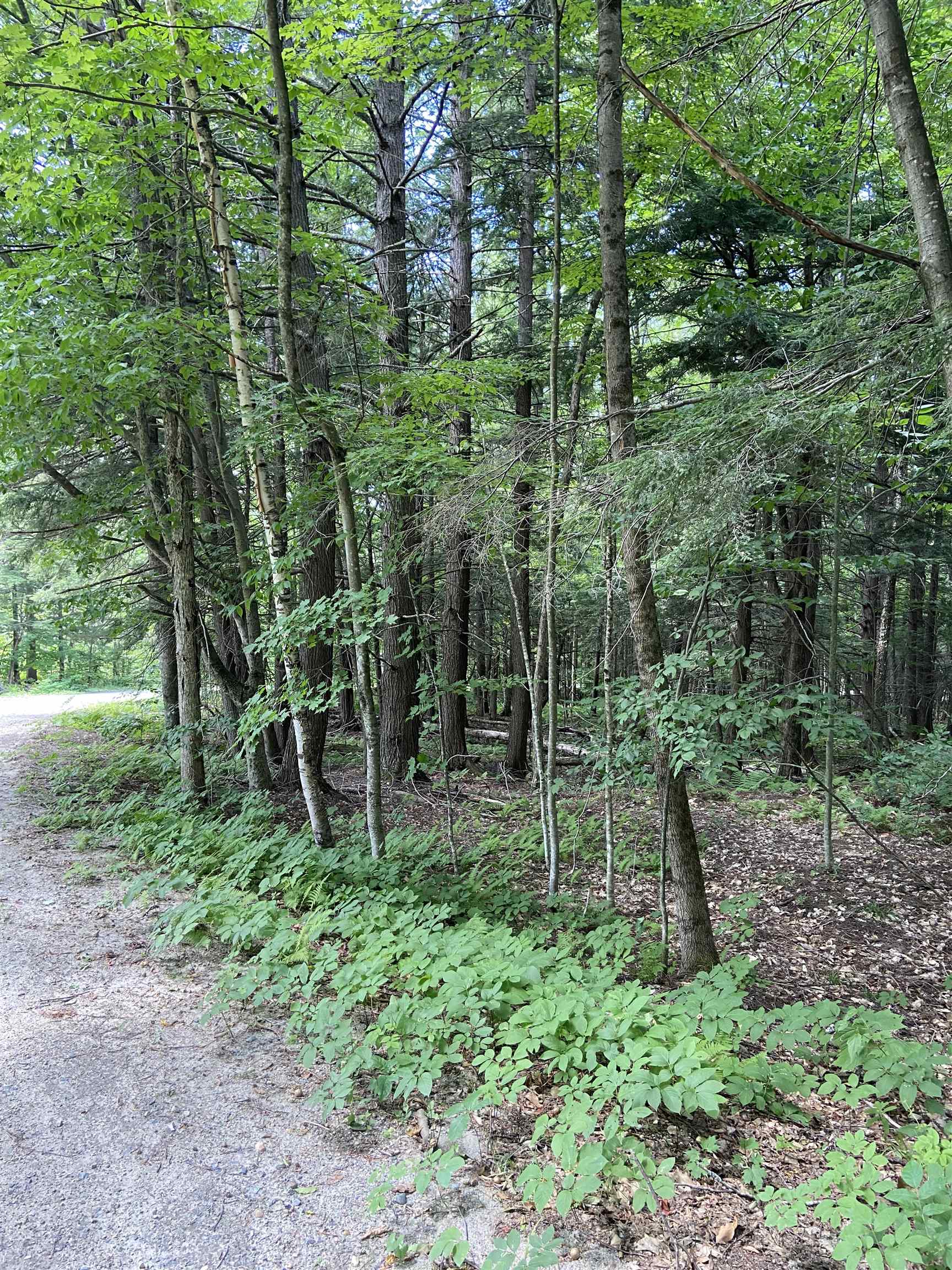 Homes for sale in Cavendish, VT | 00 Norrie Davies Rd, Cavendish, VT 05153 | MLS# 4956126