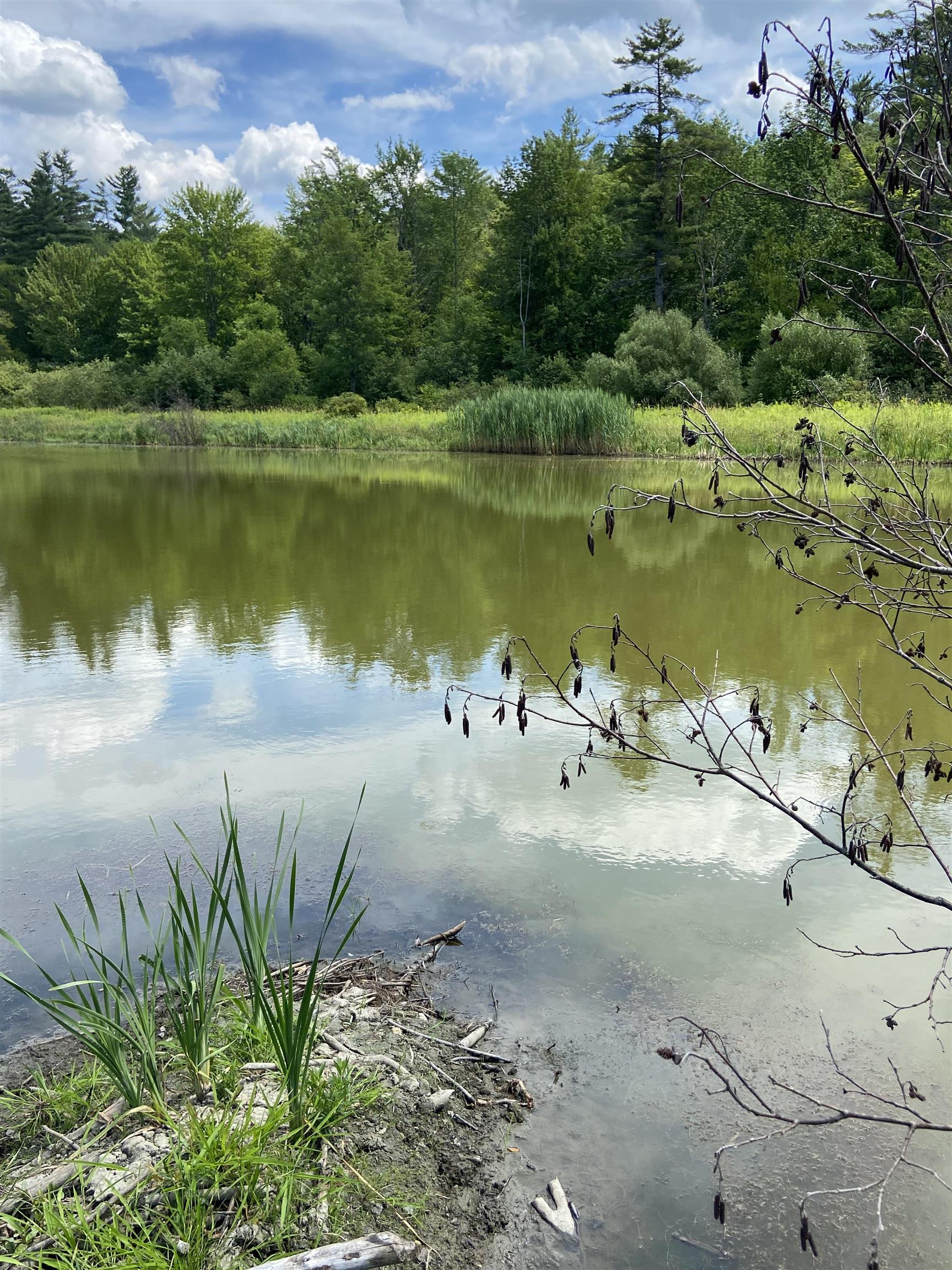 Homes for sale in Cavendish, VT | 00 Norrie Davies Rd, Cavendish, VT 05153 | MLS# 4956126