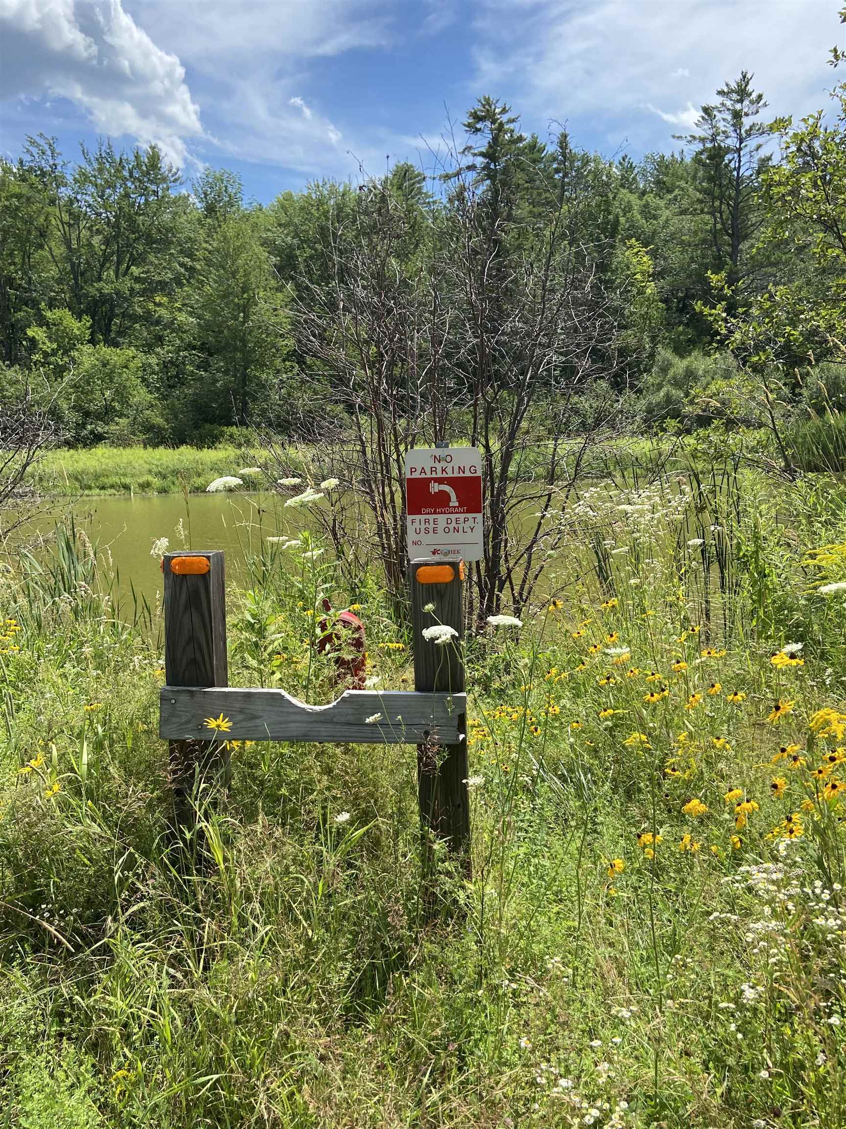 Homes for sale in Cavendish, VT | 00 Norrie Davies Rd, Cavendish, VT 05153 | MLS# 4956126
