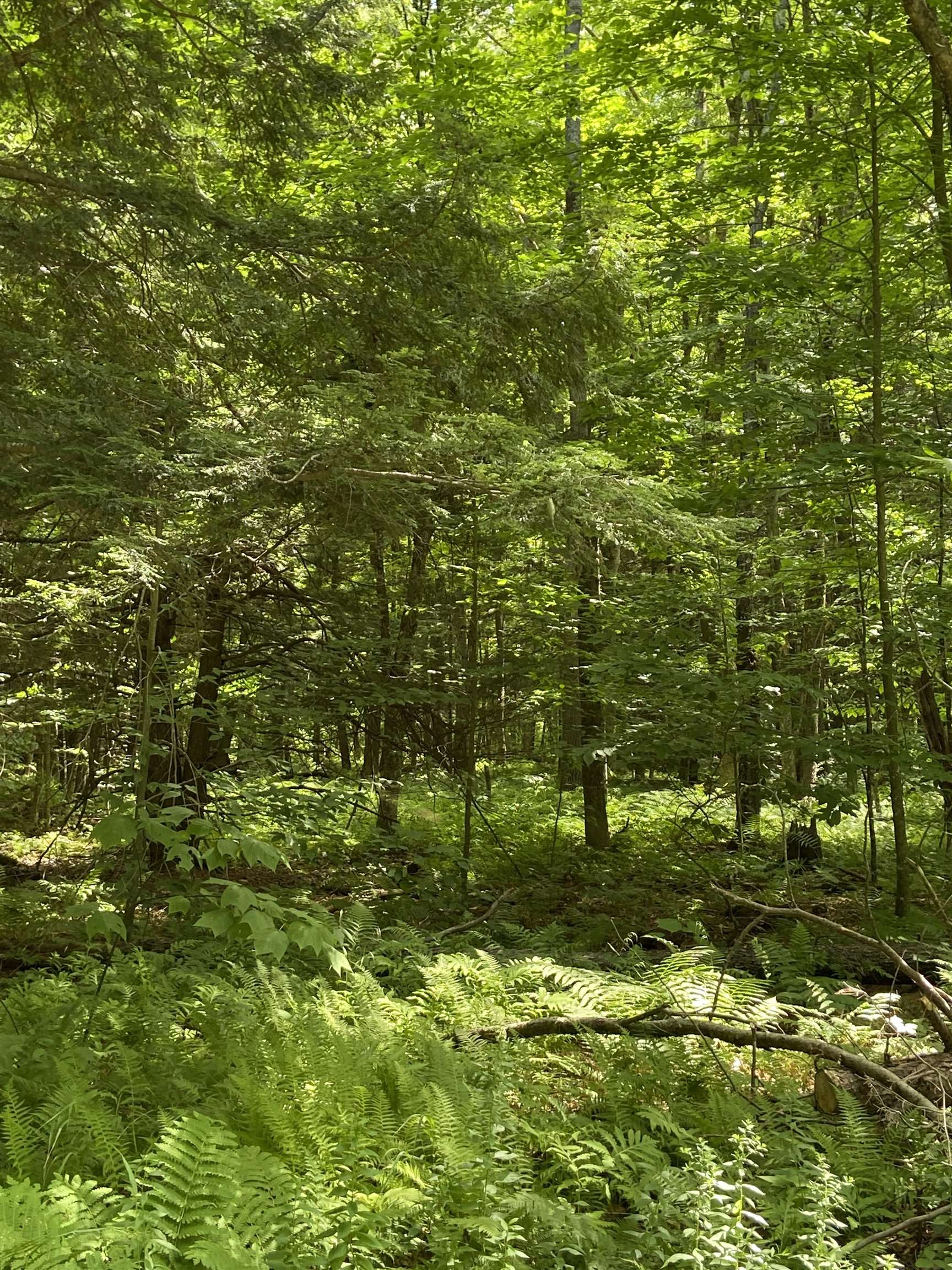 Homes for sale in Cavendish, VT | 00 Norrie Davies Rd, Cavendish, VT 05153 | MLS# 4956126