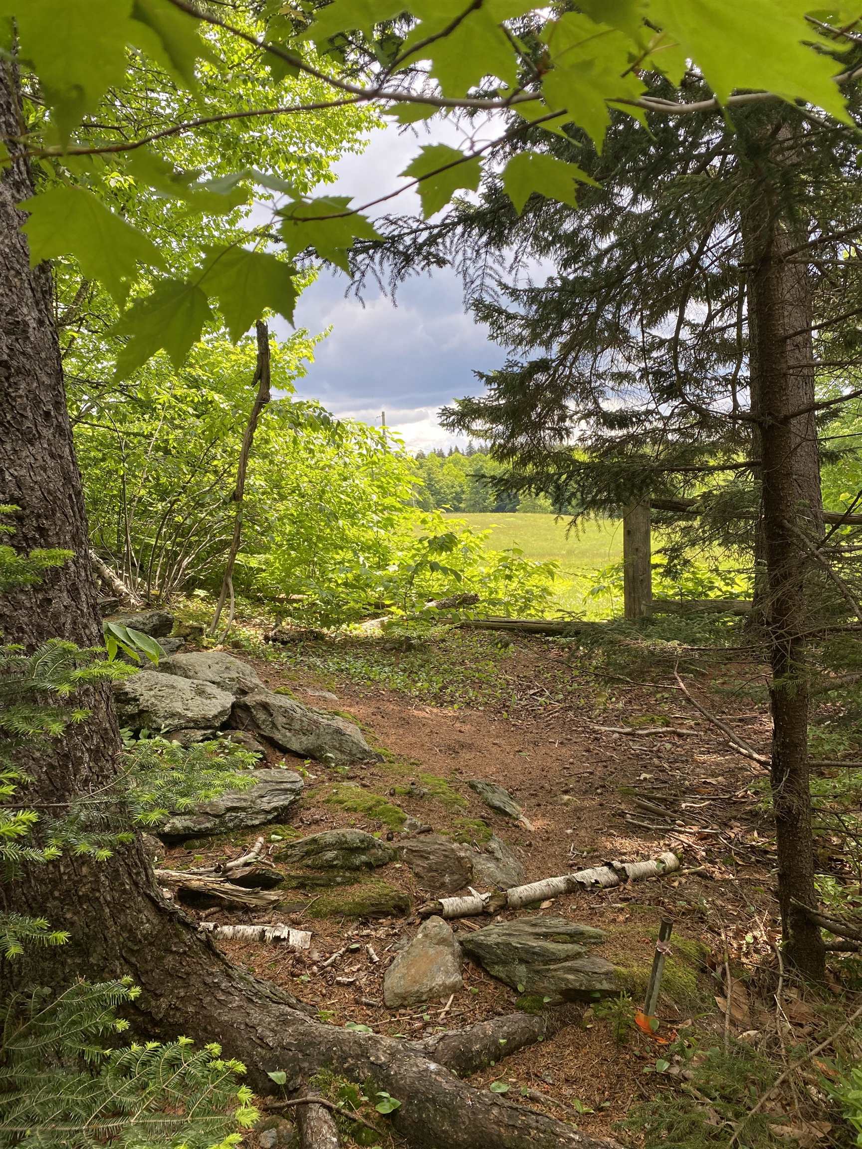 Homes for sale in Dover, VT | 41 Rice Hill Rd, Dover, VT 05341 | MLS# 4956629