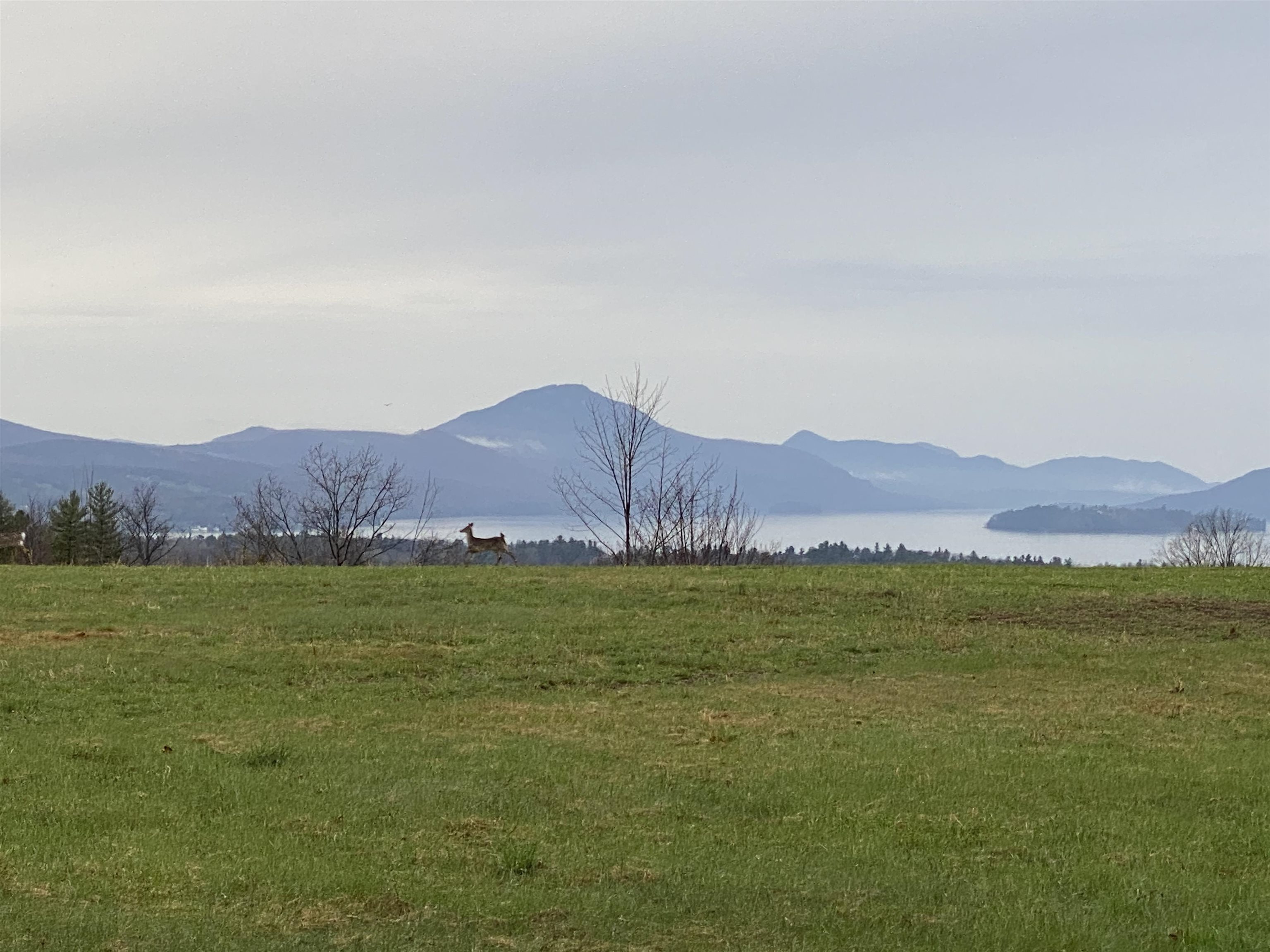 Homes for sale in Derby, VT | - Pine Hill Rd, Derby, VT 05829 | MLS# 4958531