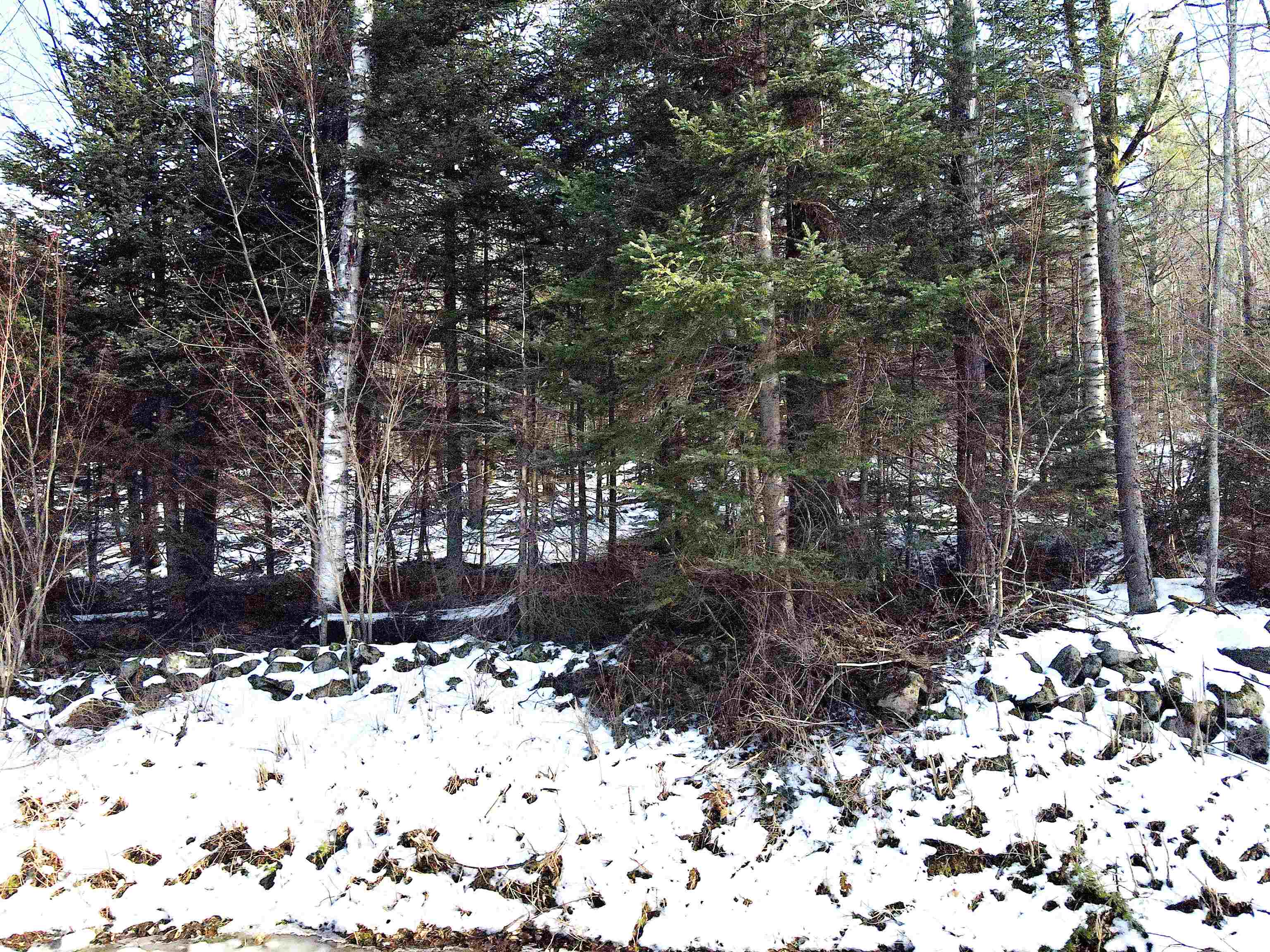 Homes for sale in Sugar Hill, NH | Tbd Easton Rd, Sugar Hill, NH 03586 | MLS# 4959529