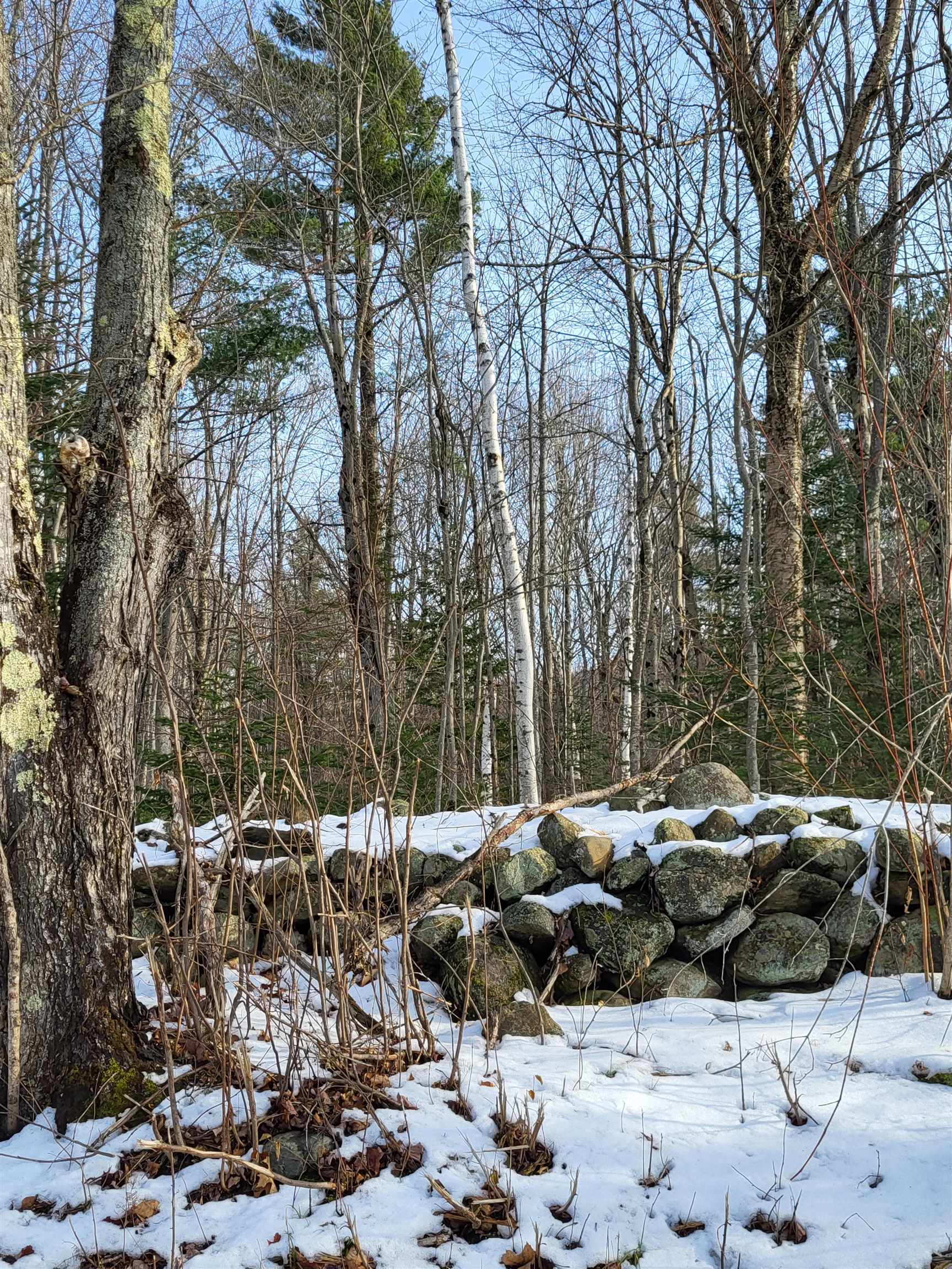 Homes for sale in Sugar Hill, NH | Tbd Easton Rd, Sugar Hill, NH 03586 | MLS# 4959529